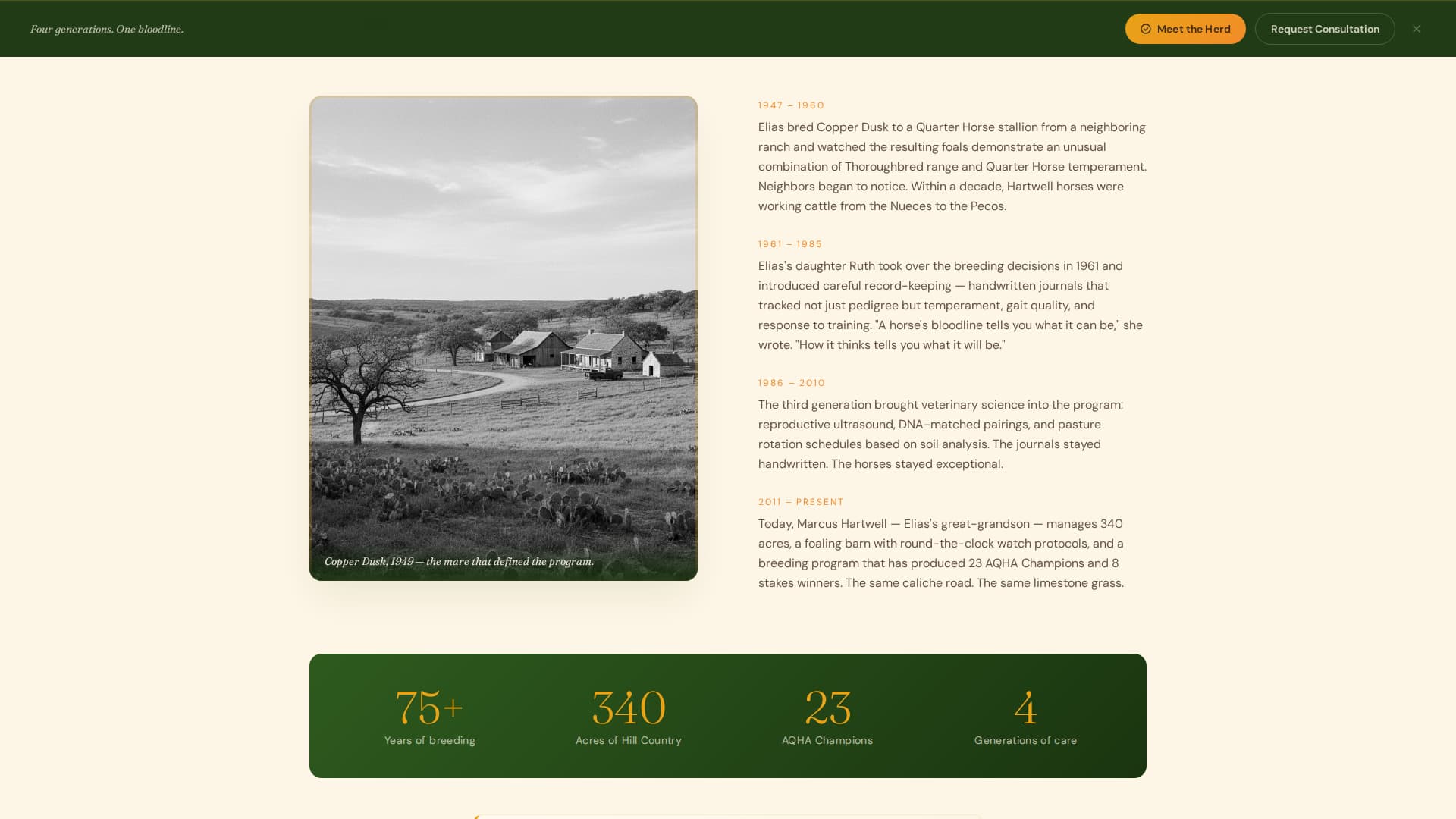 Bloodline - Timeless Equestrian Landing Page Template