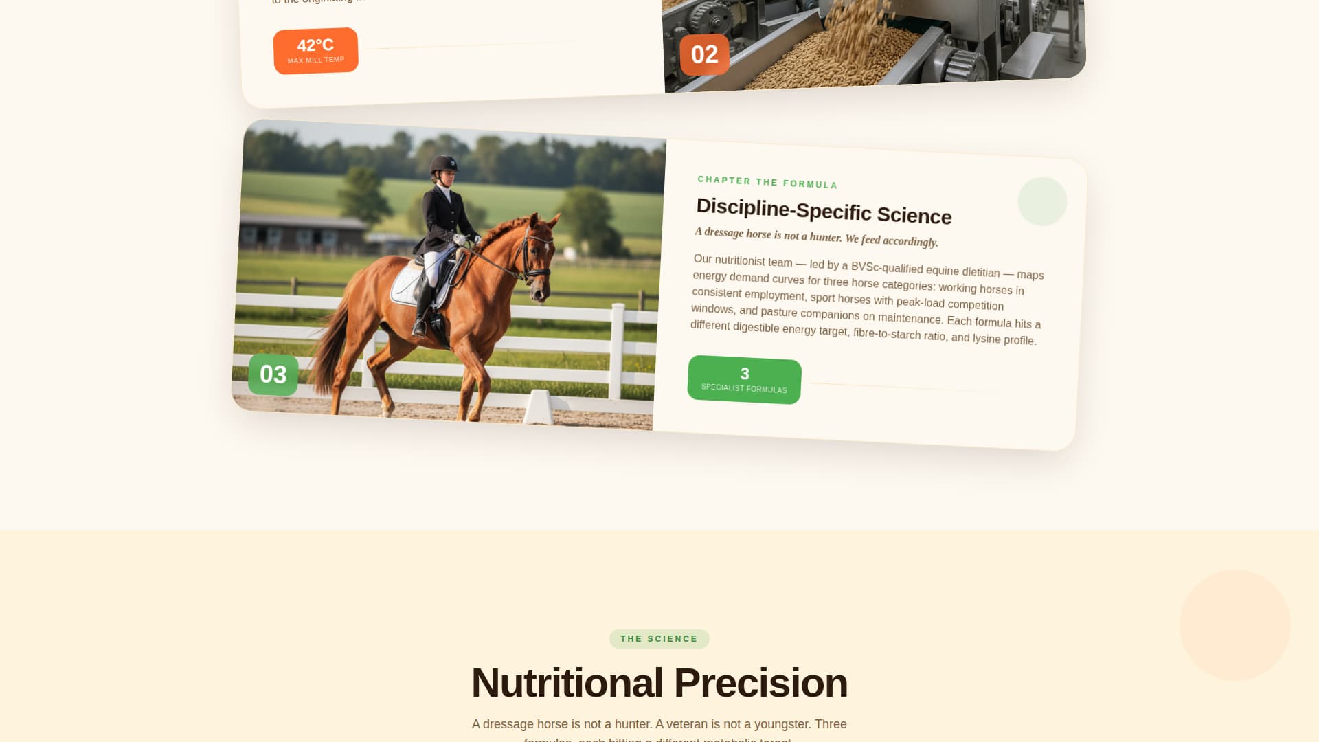 Gallop - Energizing Equine Landing Page Template