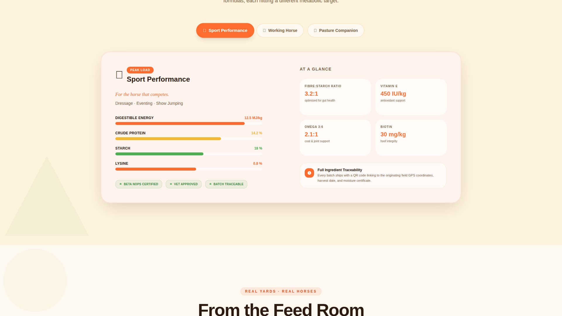 Gallop - Energizing Equine Landing Page Template