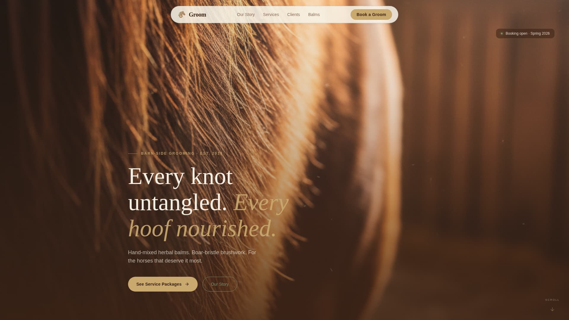 Groom - Earthy Equine Landing Page Template