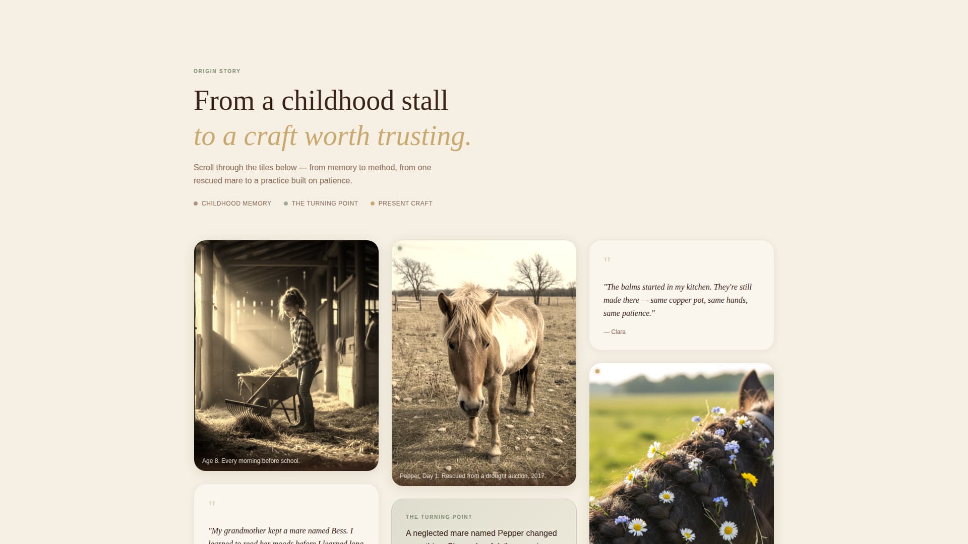 Groom - Earthy Equine Landing Page Template