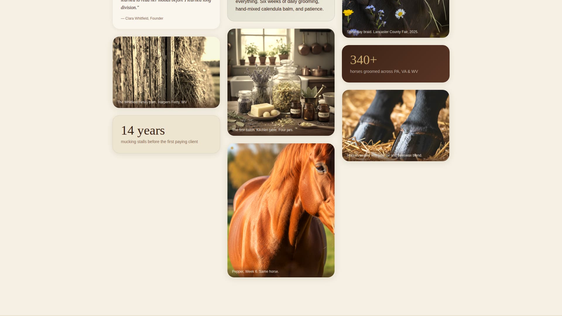 Groom - Earthy Equine Landing Page Template