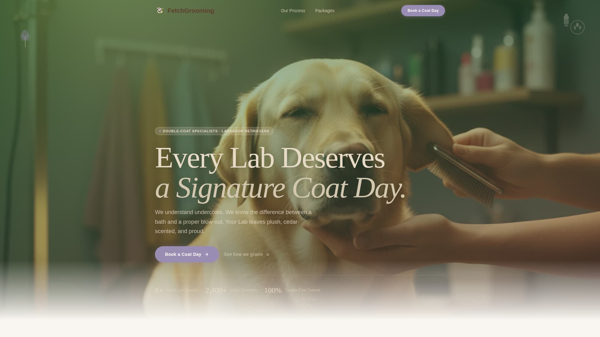 Dog Booking Website Template