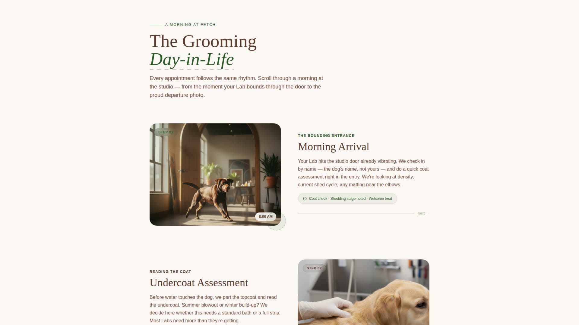 Dog Booking Website Template