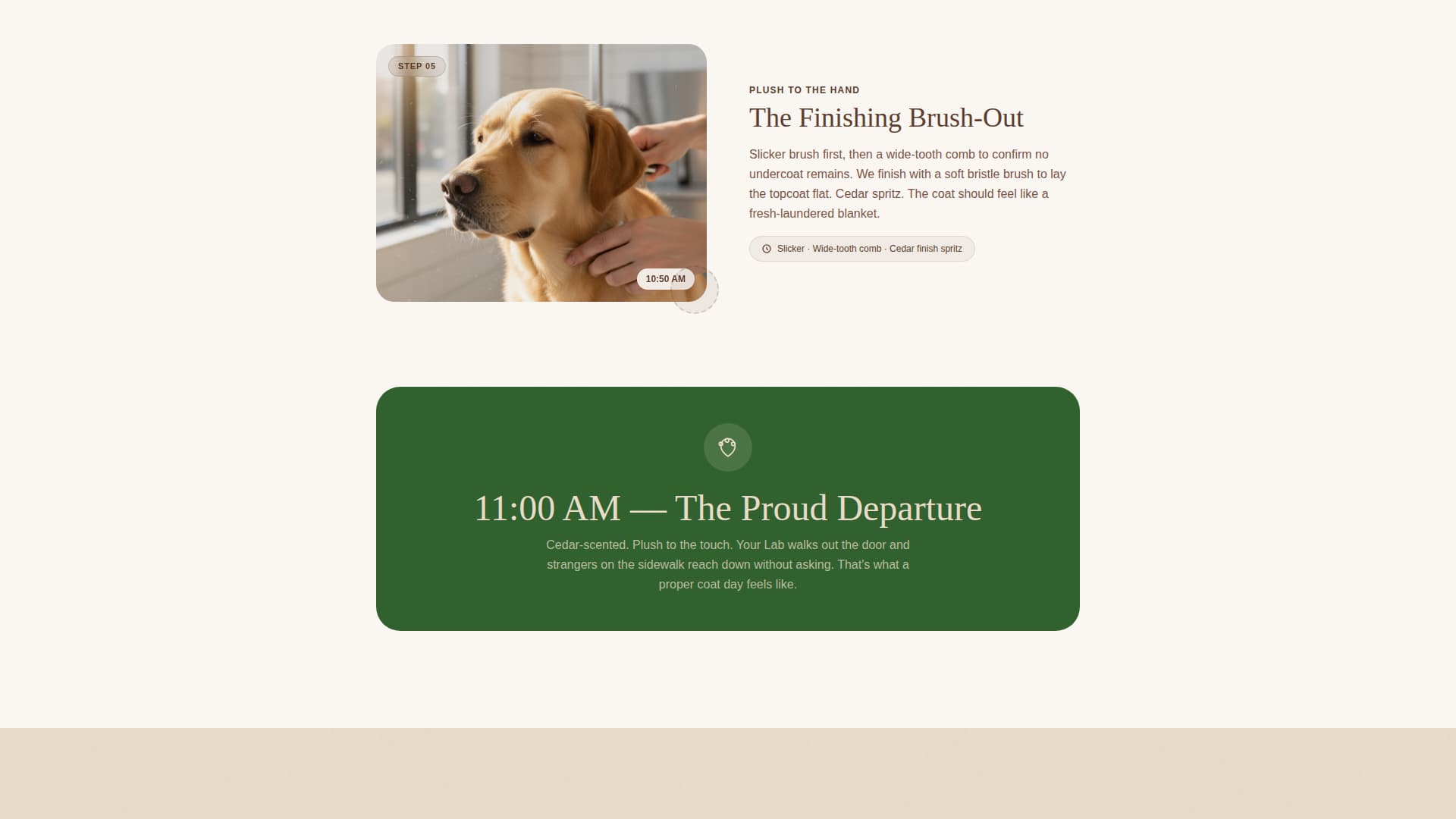 Dog Booking Website Template