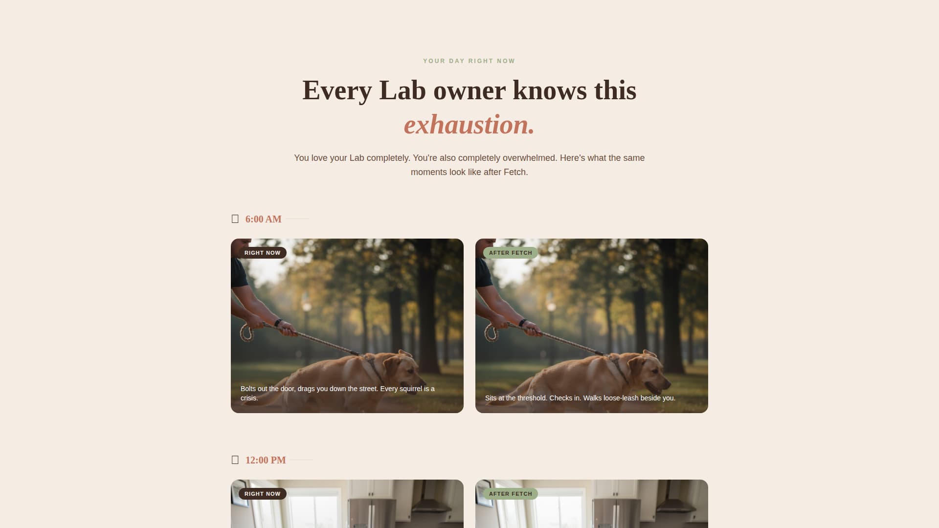 Dog Professional Website Template