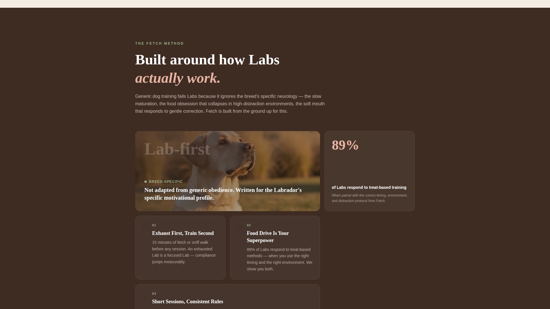 Dog Professional Website Template