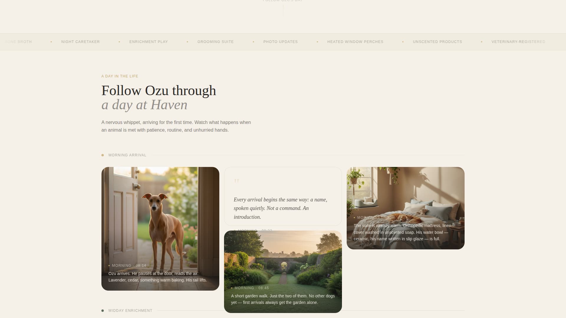 Haven - Serene Pethotel Landing Page Template