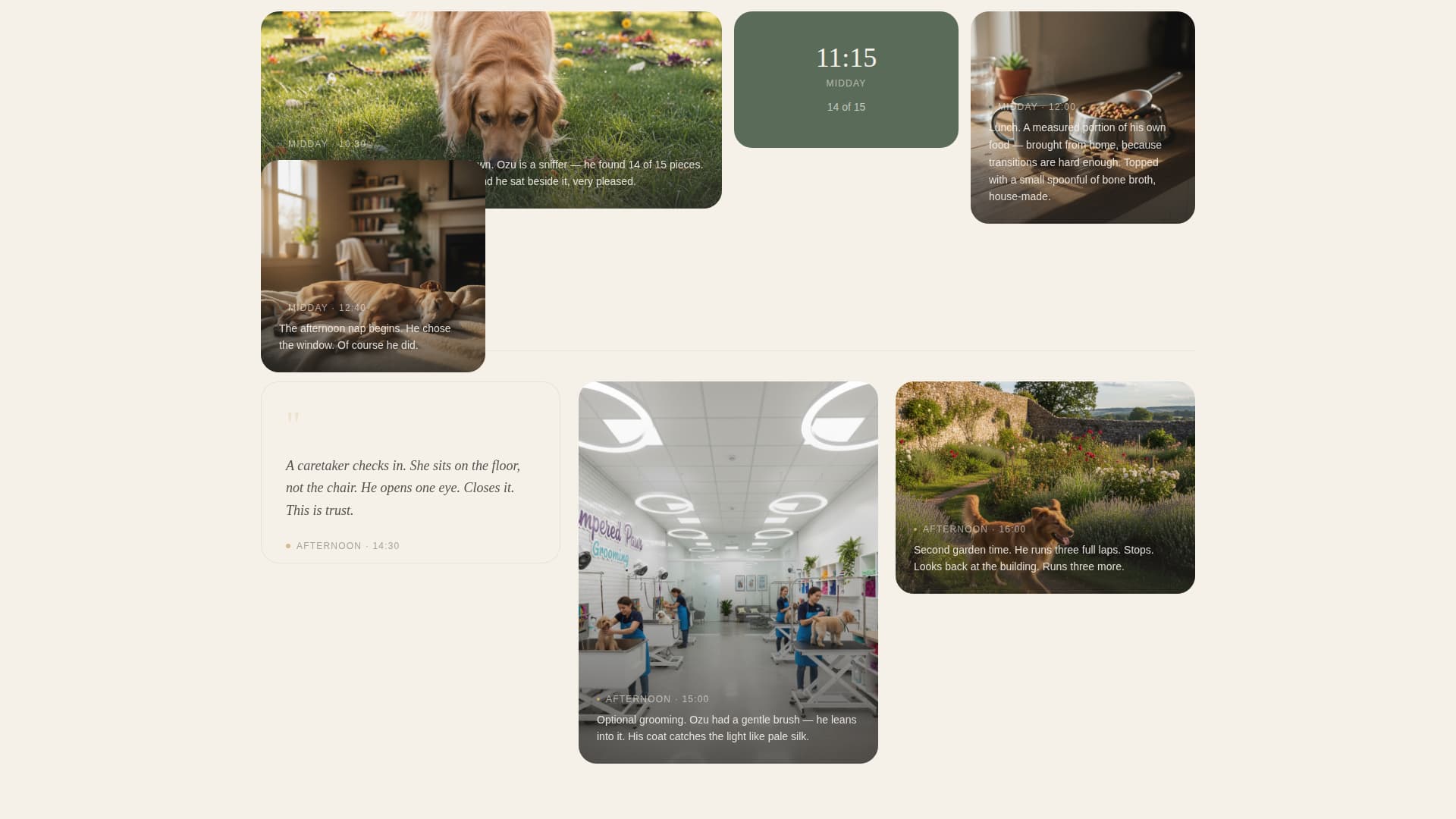 Haven - Serene Pethotel Landing Page Template