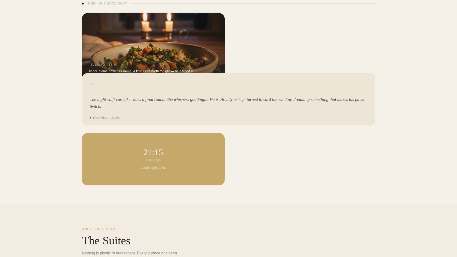 Haven - Serene Pethotel Landing Page Template