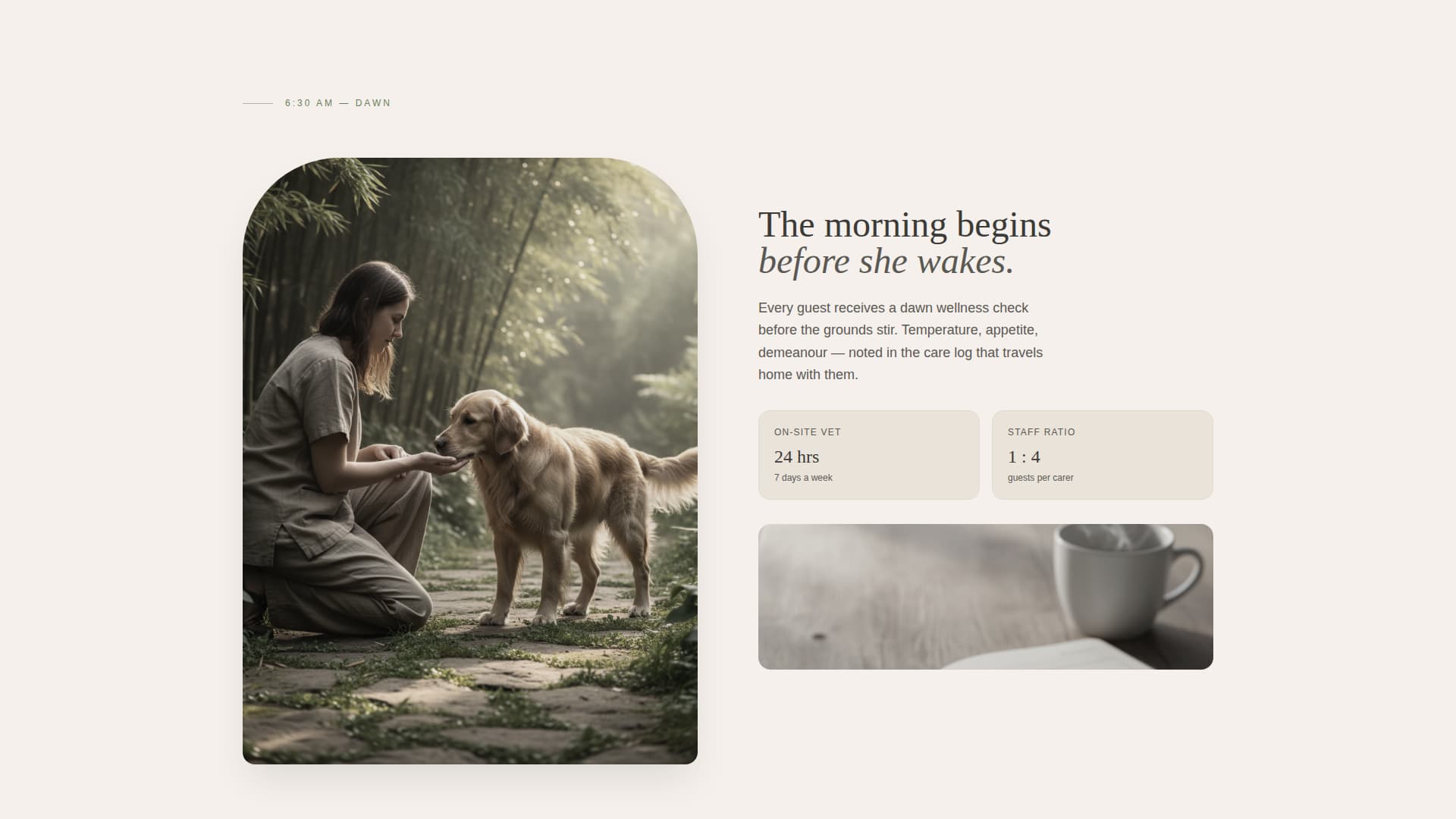 Haven - Serene Petresort Landing Page Template