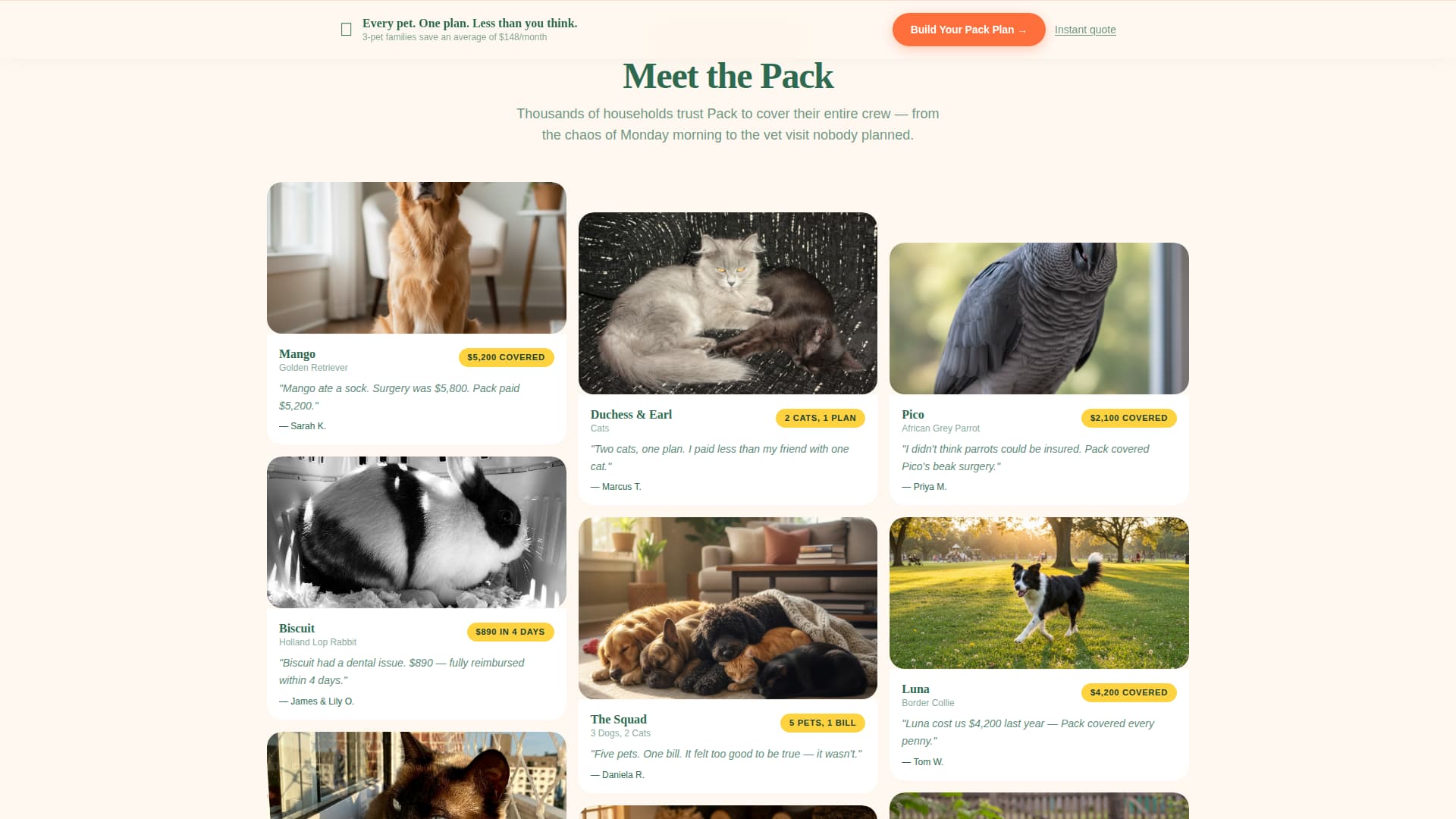 Pack - Vibrant Multipet Landing Page Template