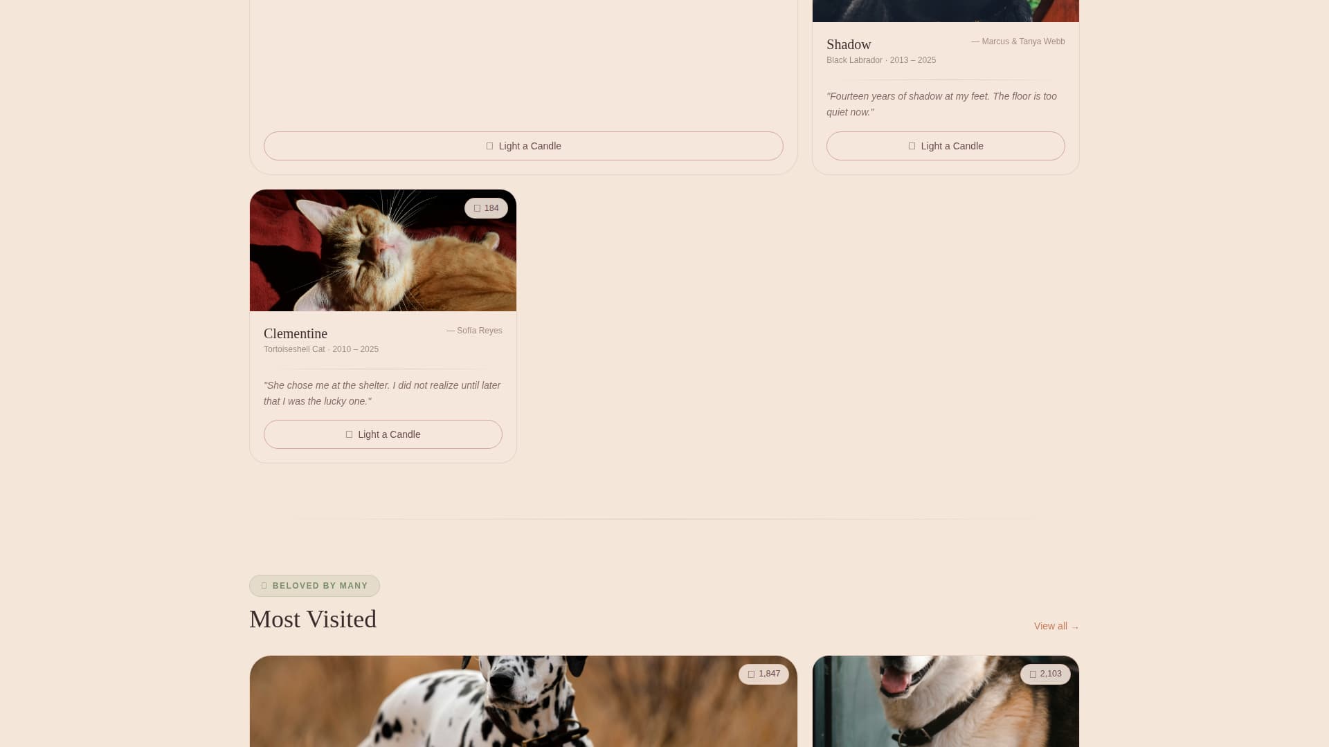 Memorial - Heartfelt Petmemorial Landing Page Template