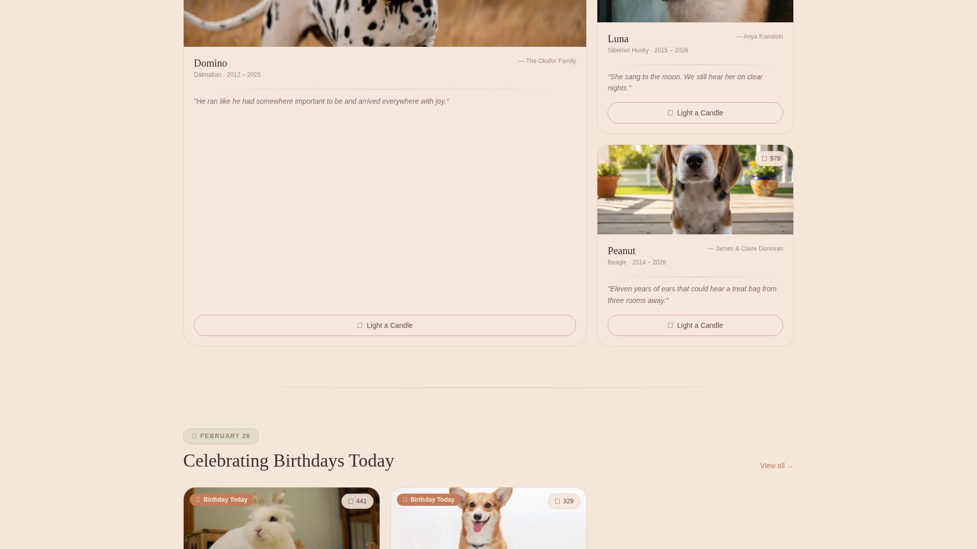 Memorial - Heartfelt Petmemorial Landing Page Template