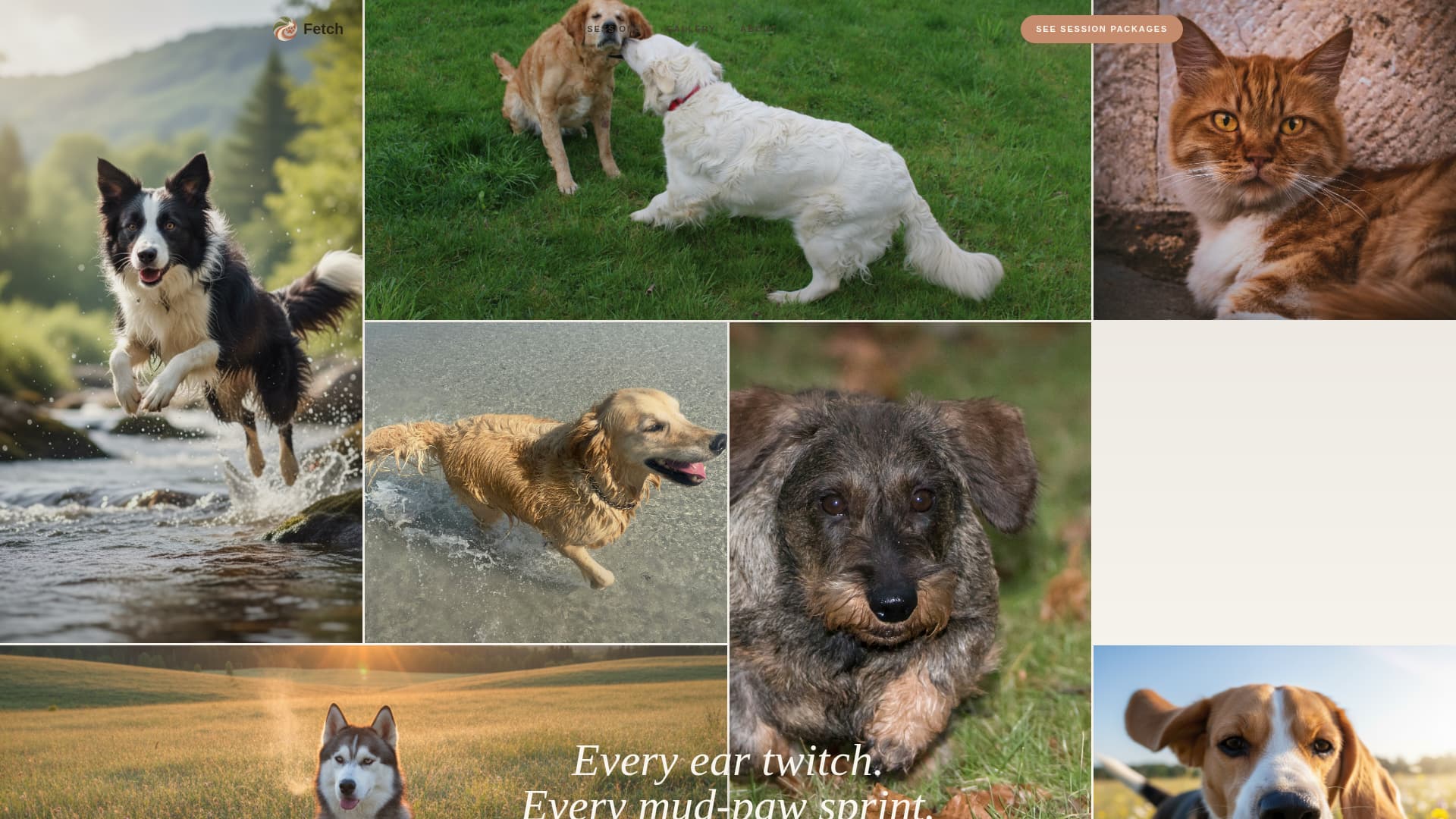Fetch - Soulful Petphotography Landing Page Template