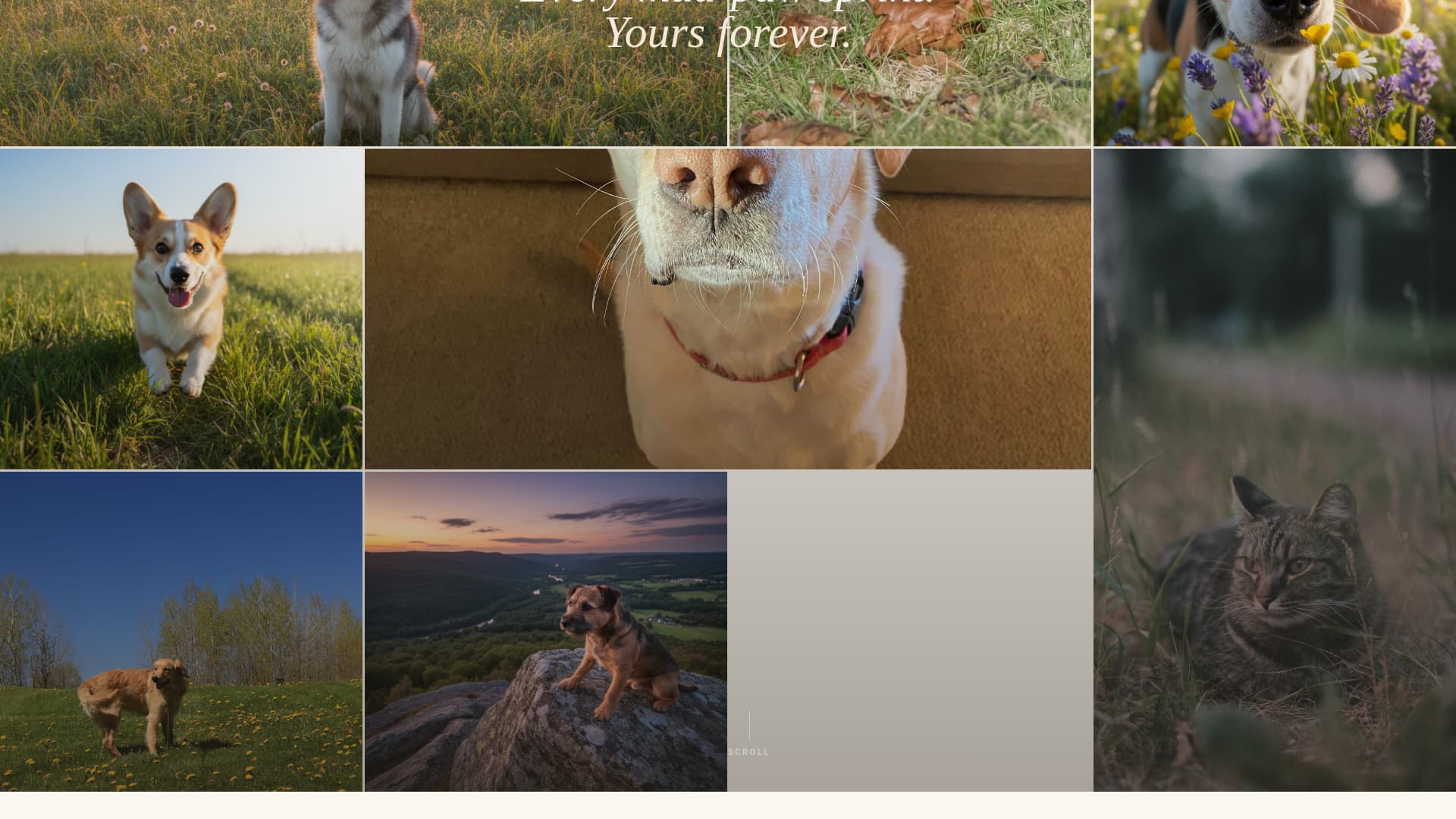 Fetch - Soulful Petphotography Landing Page Template