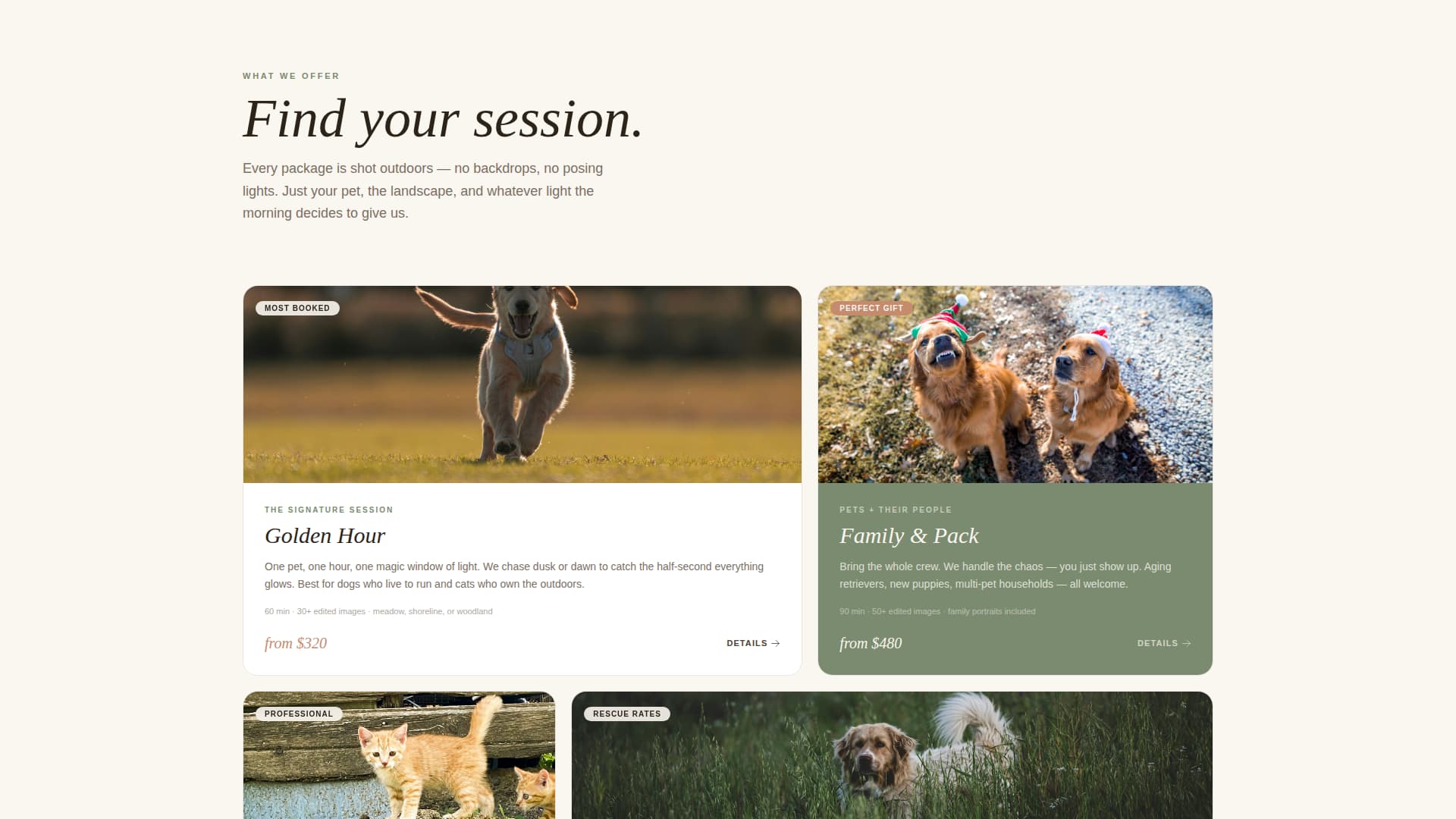 Fetch - Soulful Petphotography Landing Page Template