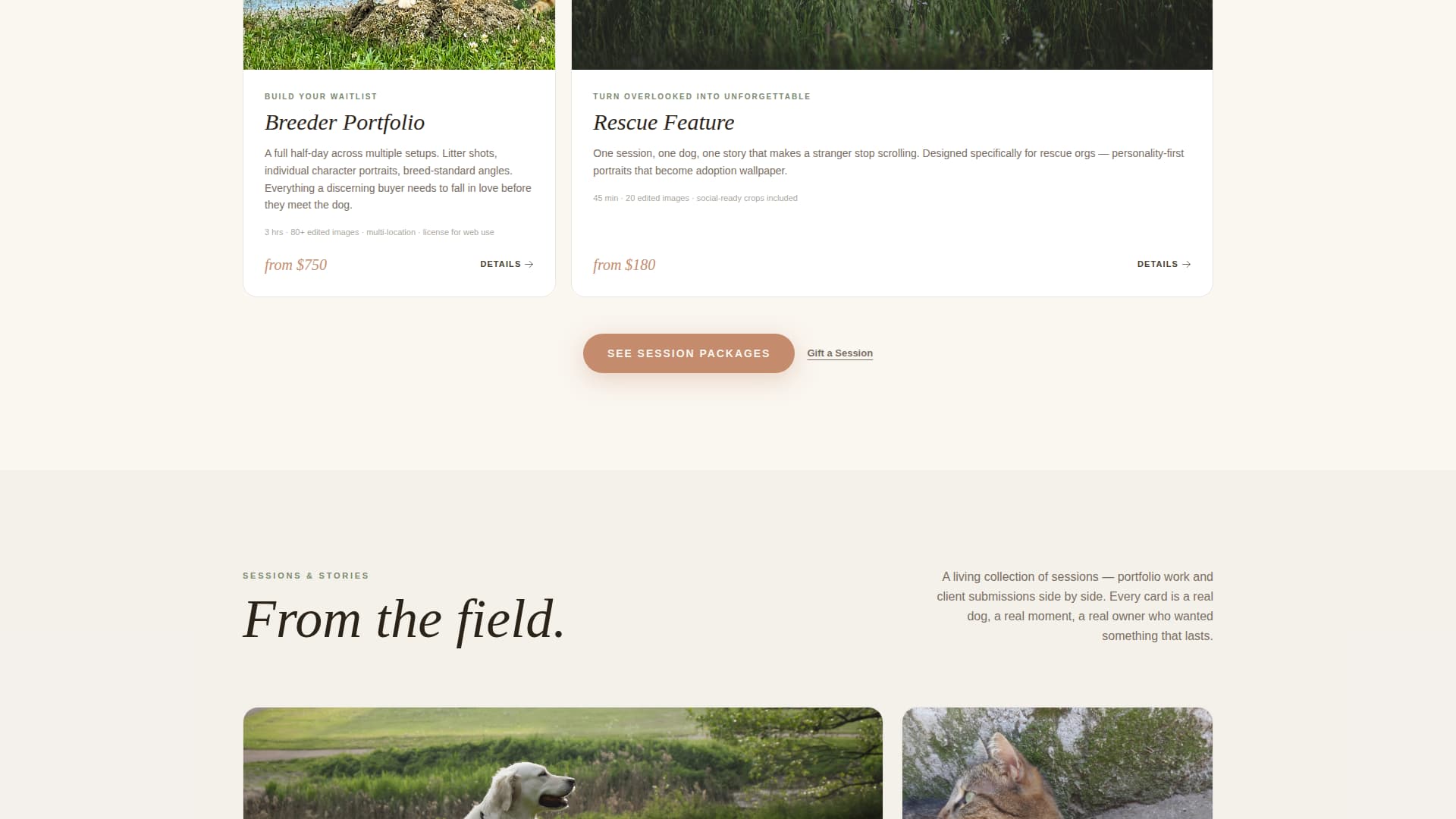 Fetch - Soulful Petphotography Landing Page Template