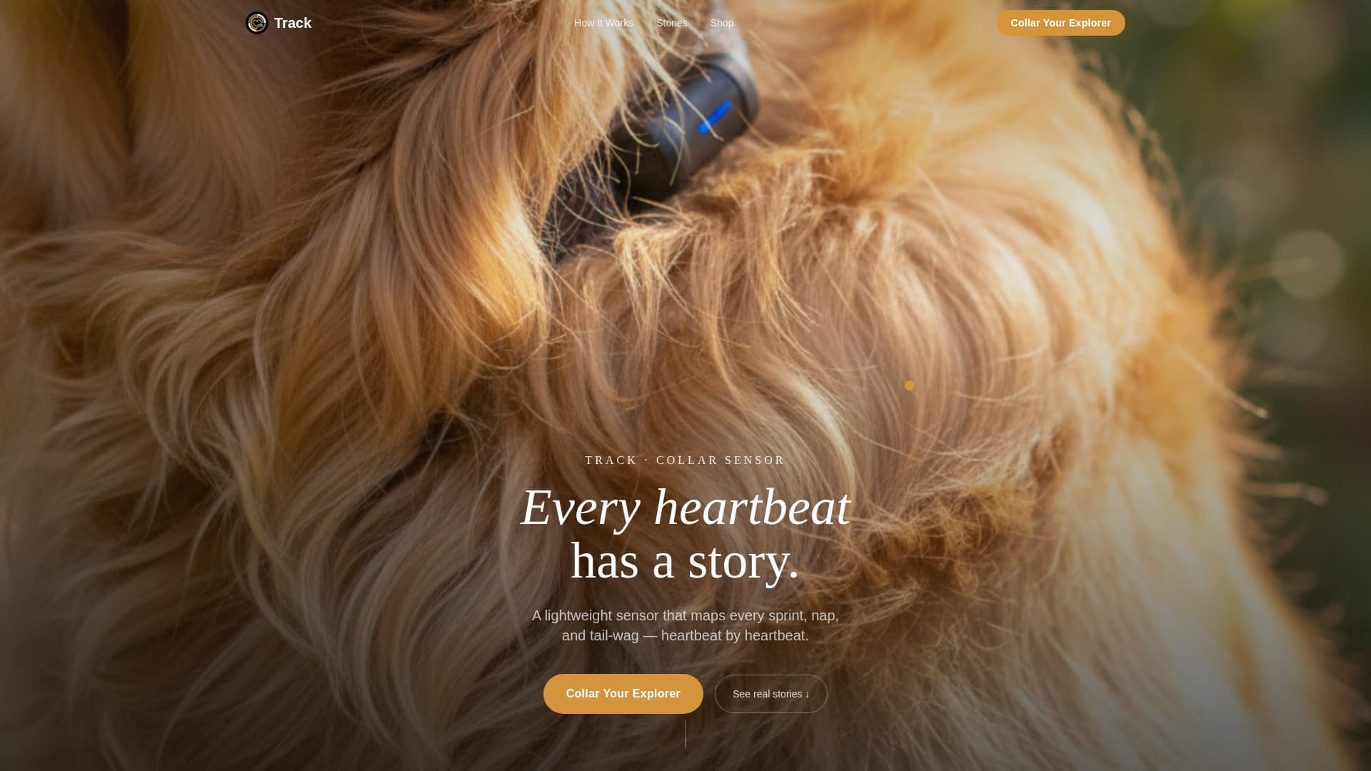 Track - Heartbeat Pettech Landing Page Template