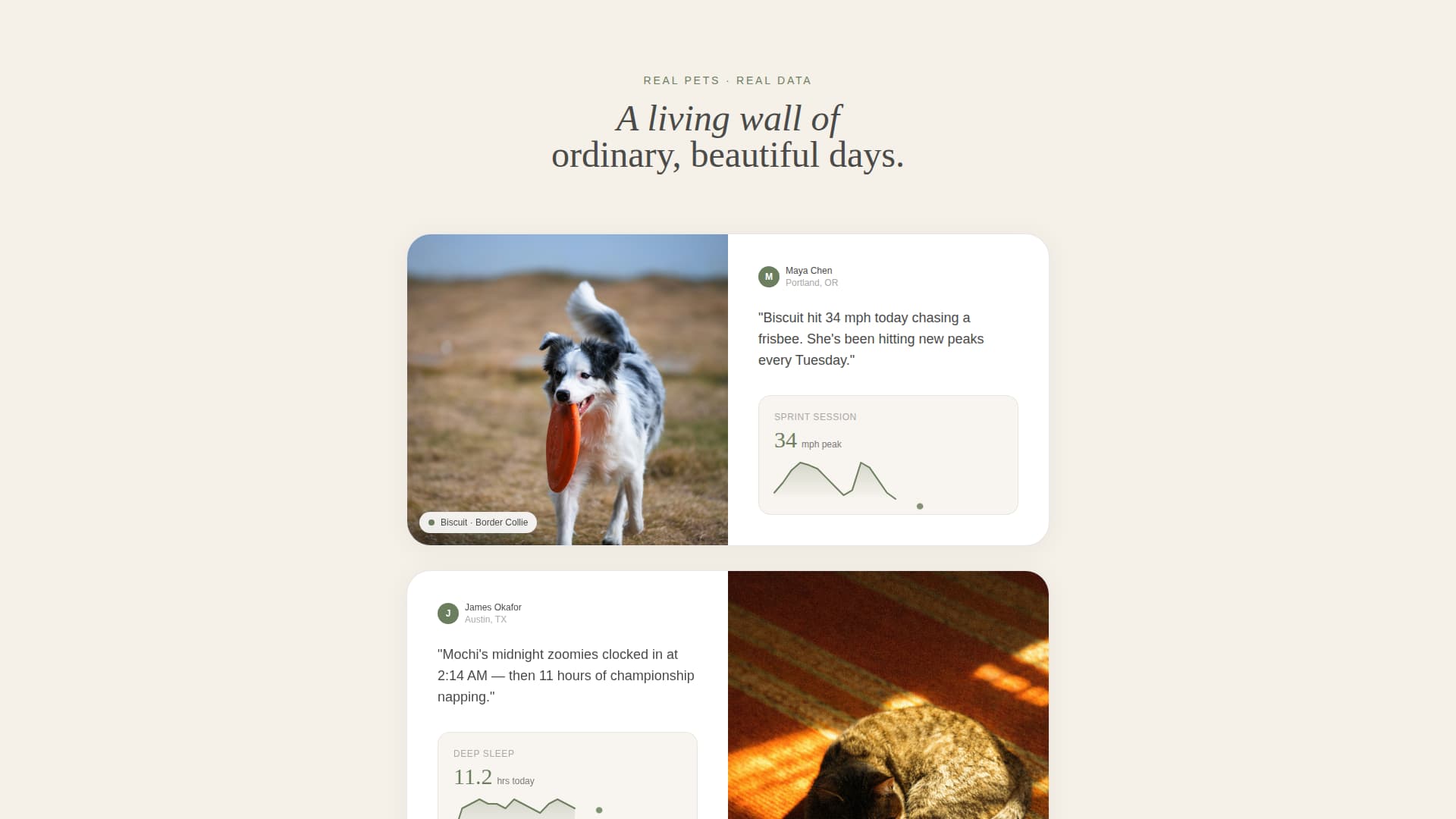 Track - Heartbeat Pettech Landing Page Template