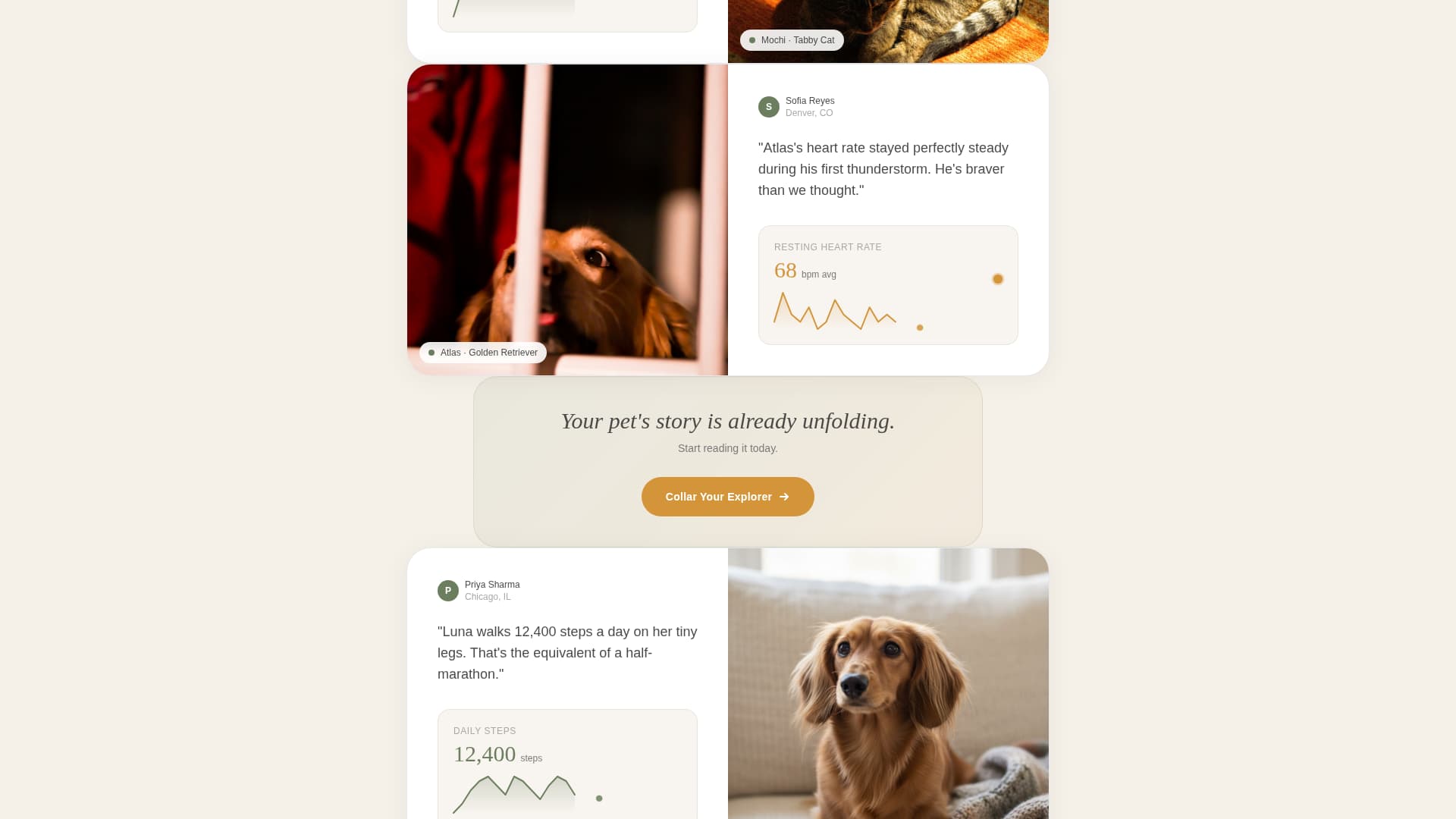 Track - Heartbeat Pettech Landing Page Template