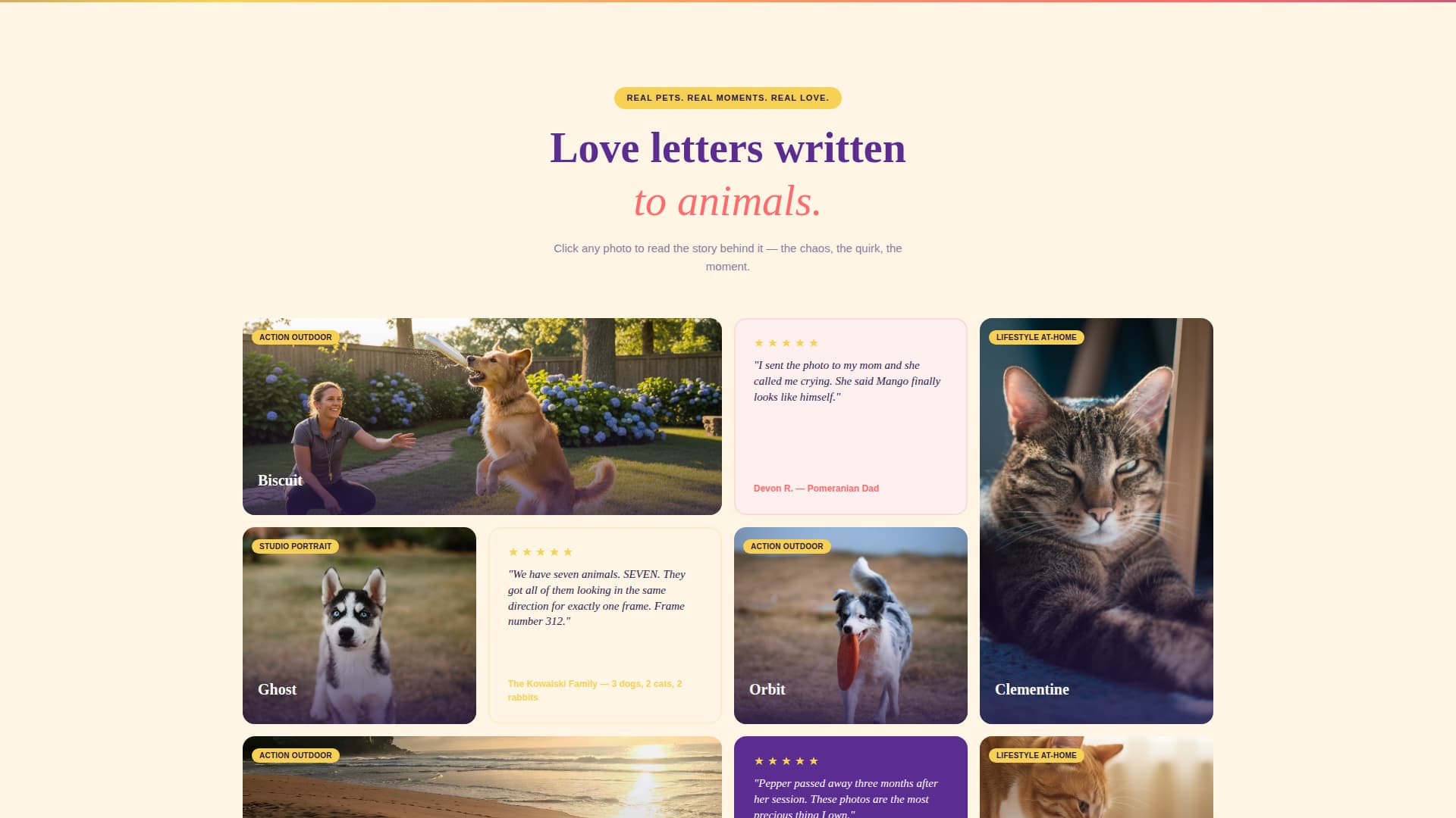 Shutter - Heartwarming Petphotography Landing Page Template