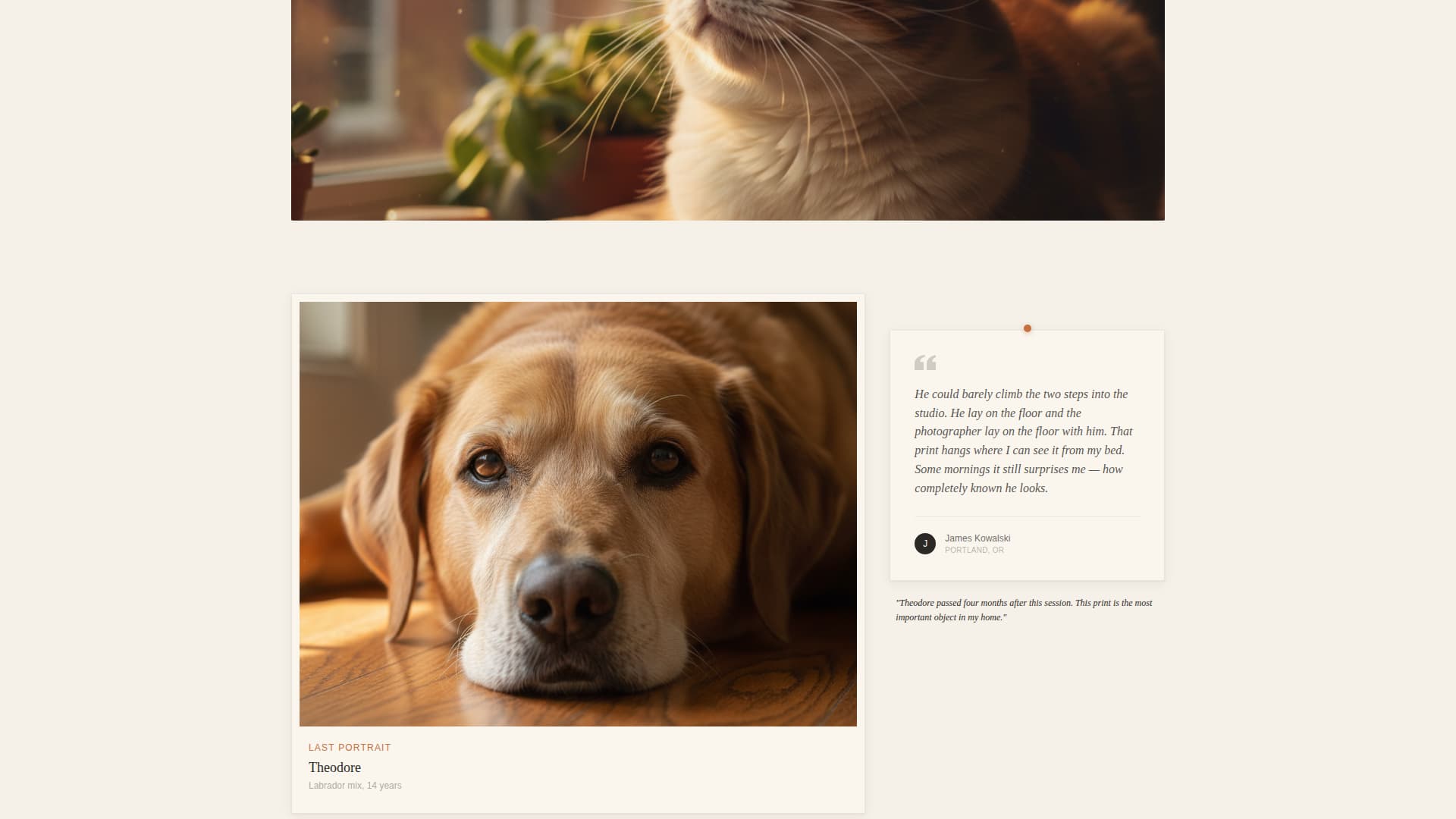 Muzzle - Heartfelt Petportrait Landing Page Template