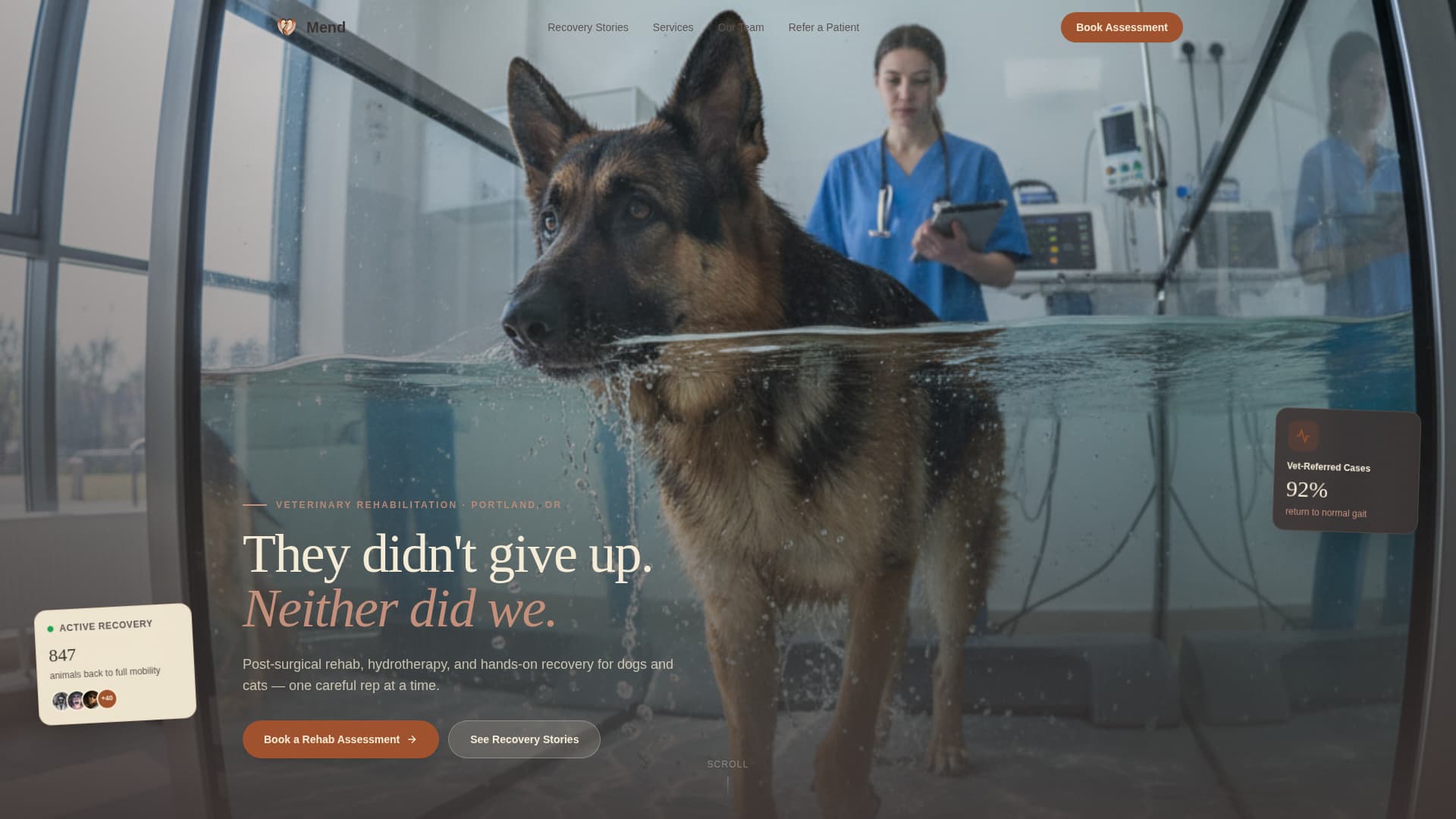 Mend - Trusted Petrehabilitation Landing Page Template
