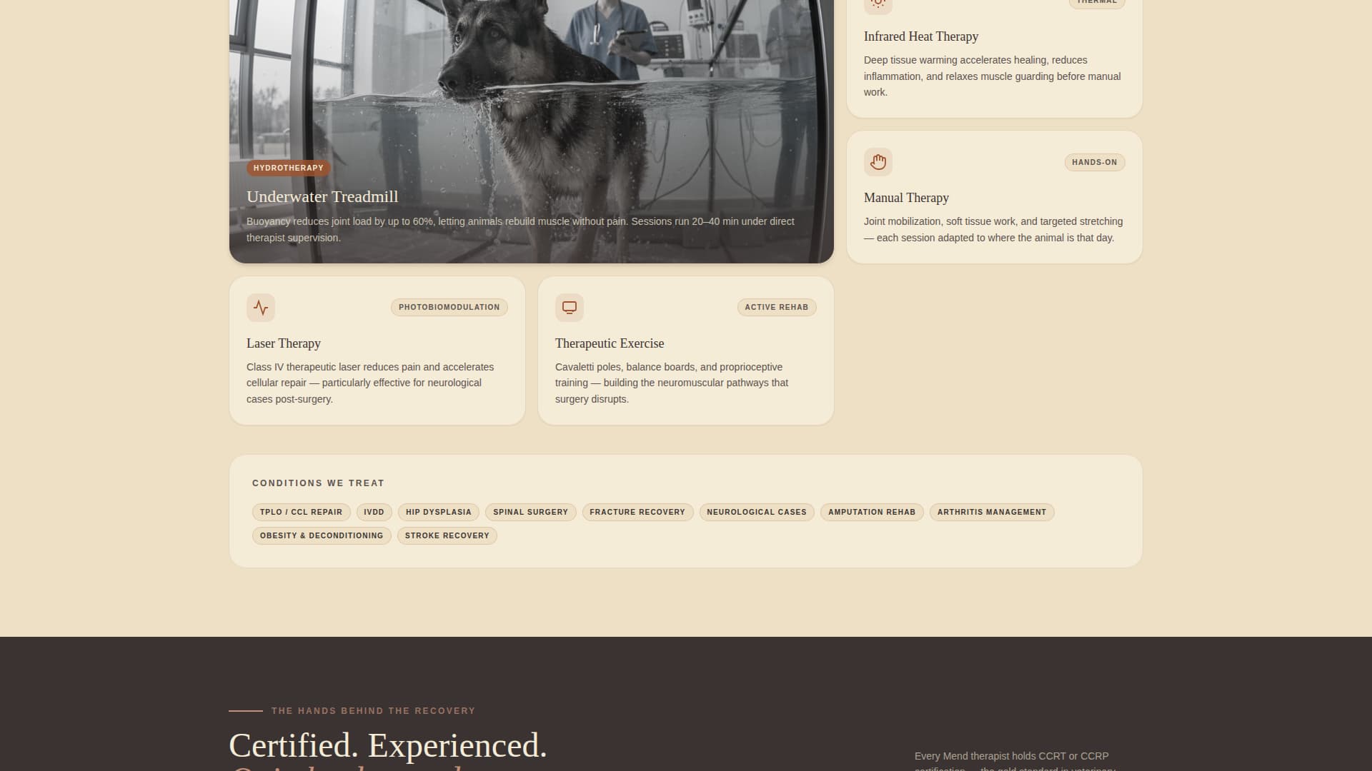 Mend - Trusted Petrehabilitation Landing Page Template