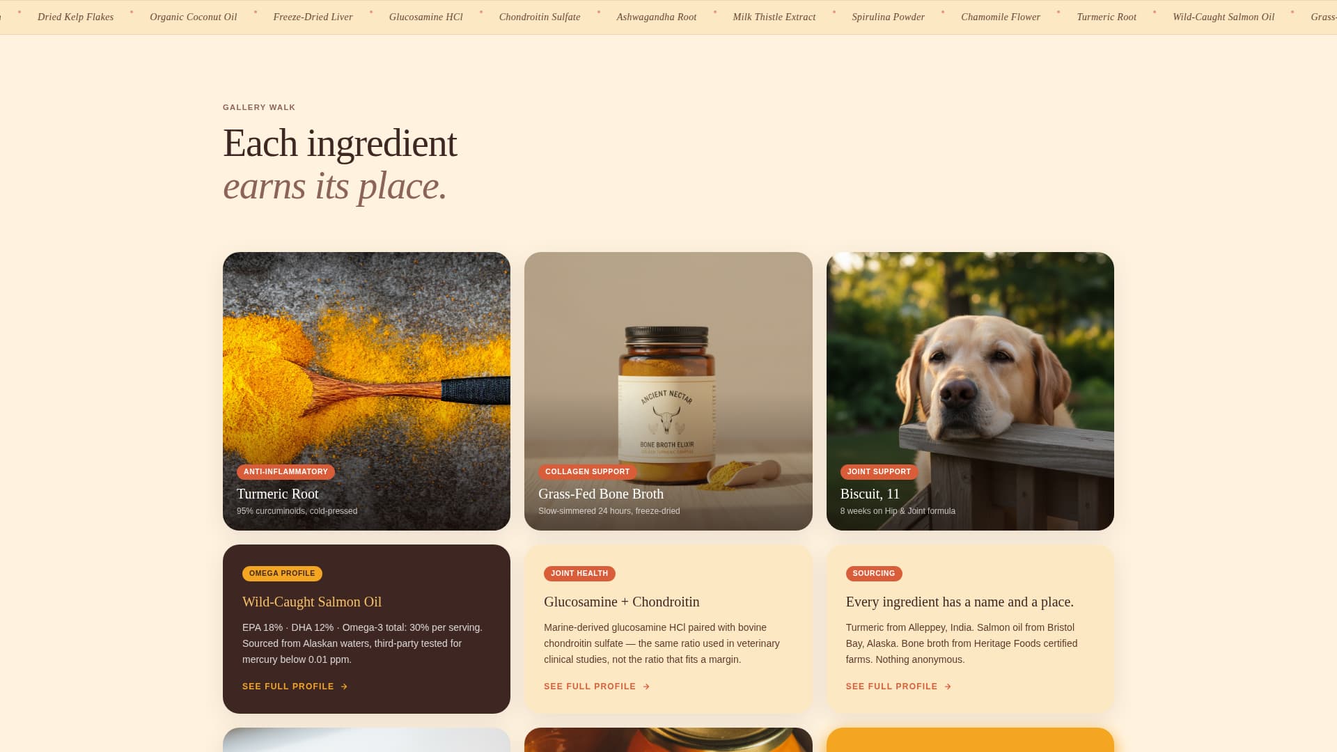 Kibble - Artisan Petsupplement Landing Page Template