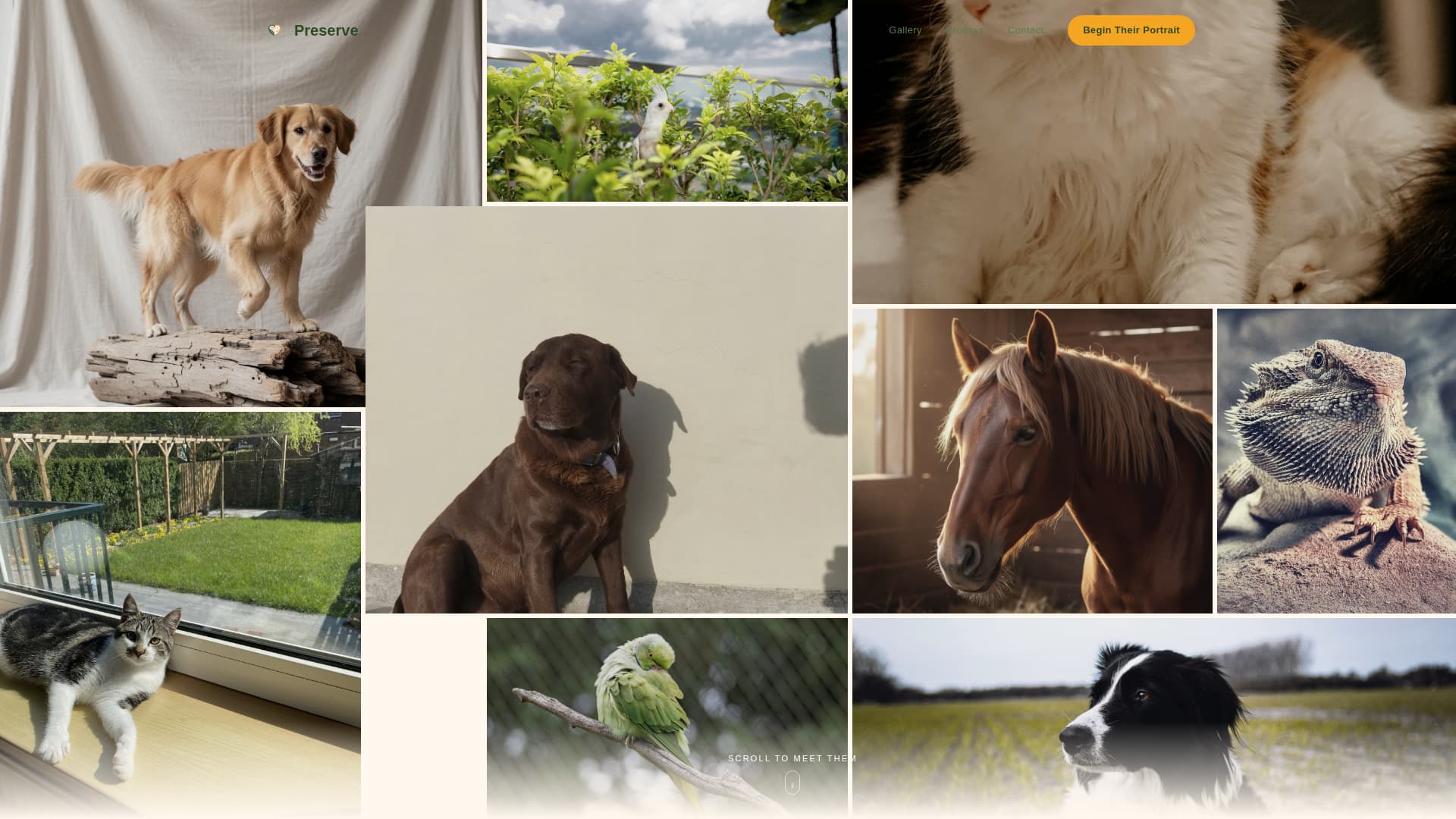 Preserve - Heartfelt Taxidermy Landing Page Template