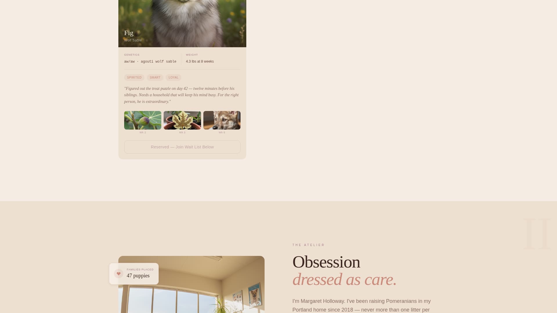Fluff - Artisan Pomeranian Landing Page Template
