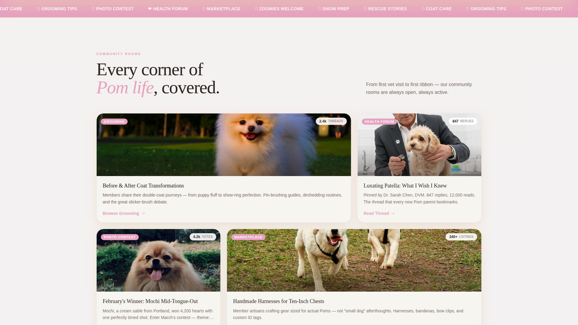 Floof - Thriving Pomeranian Landing Page Template