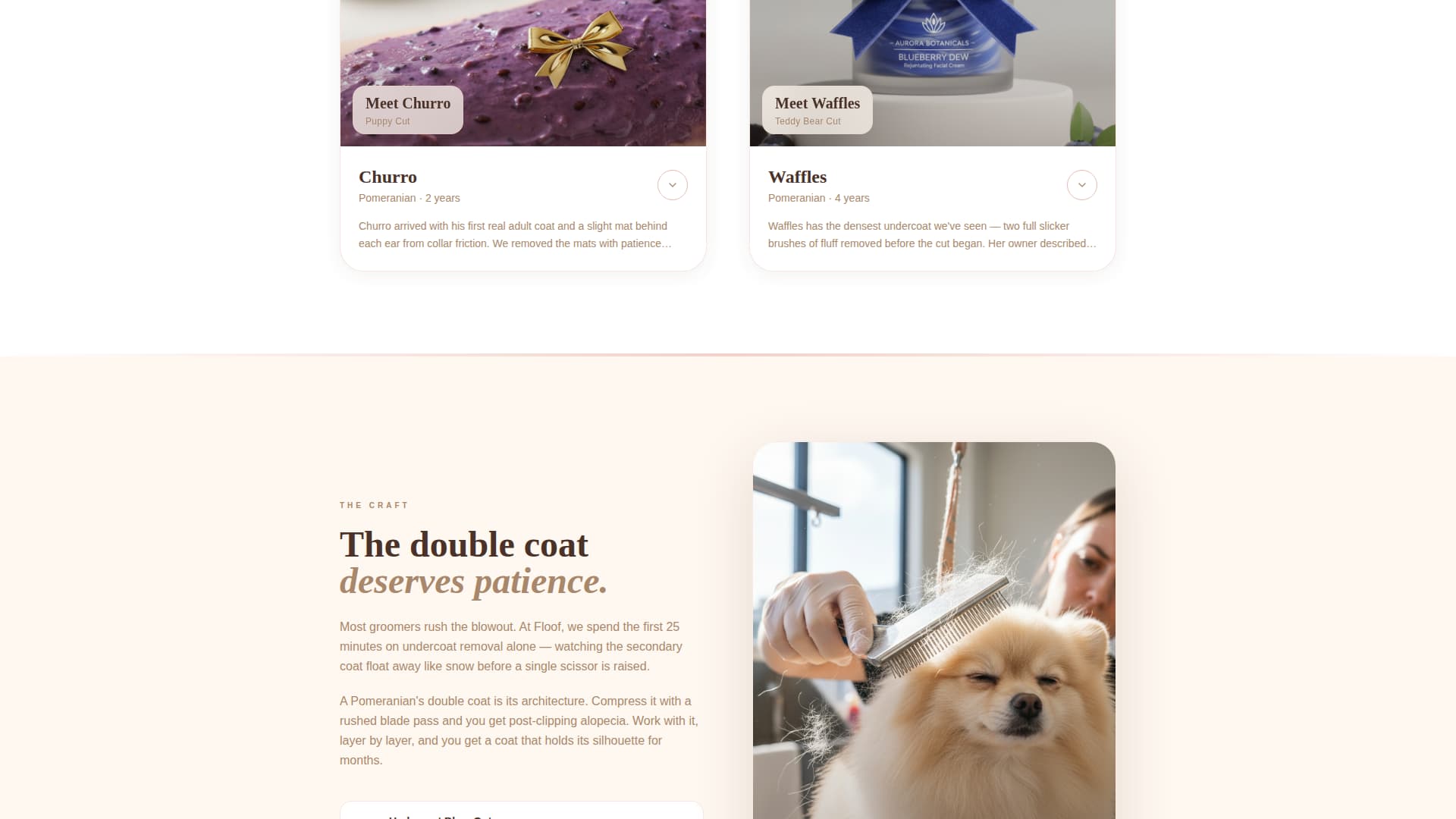 Floof - Artisan Grooming Landing Page Template