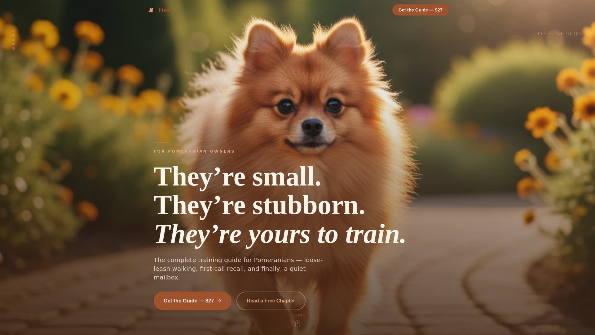 Heel - Authoritative Pomeranian Landing Page Template