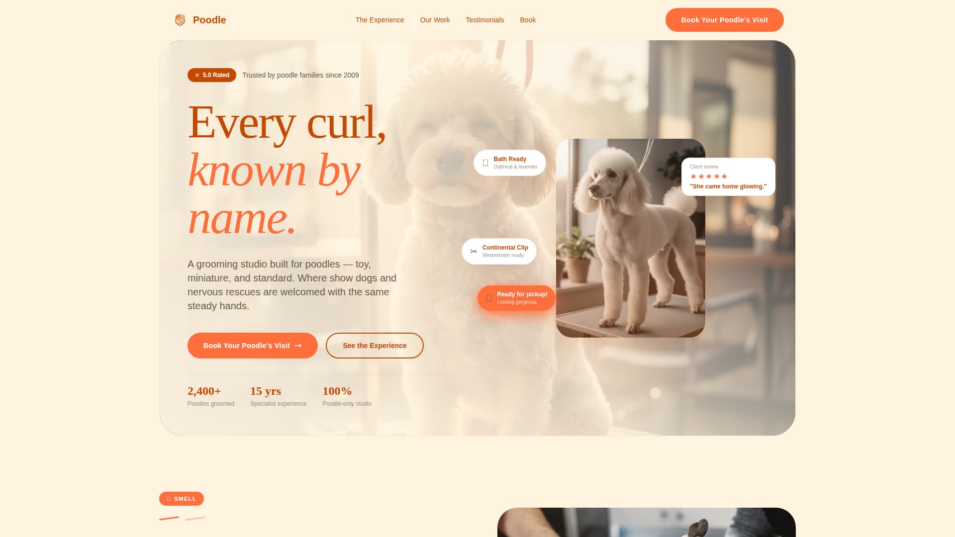 Dog Booking Website Template