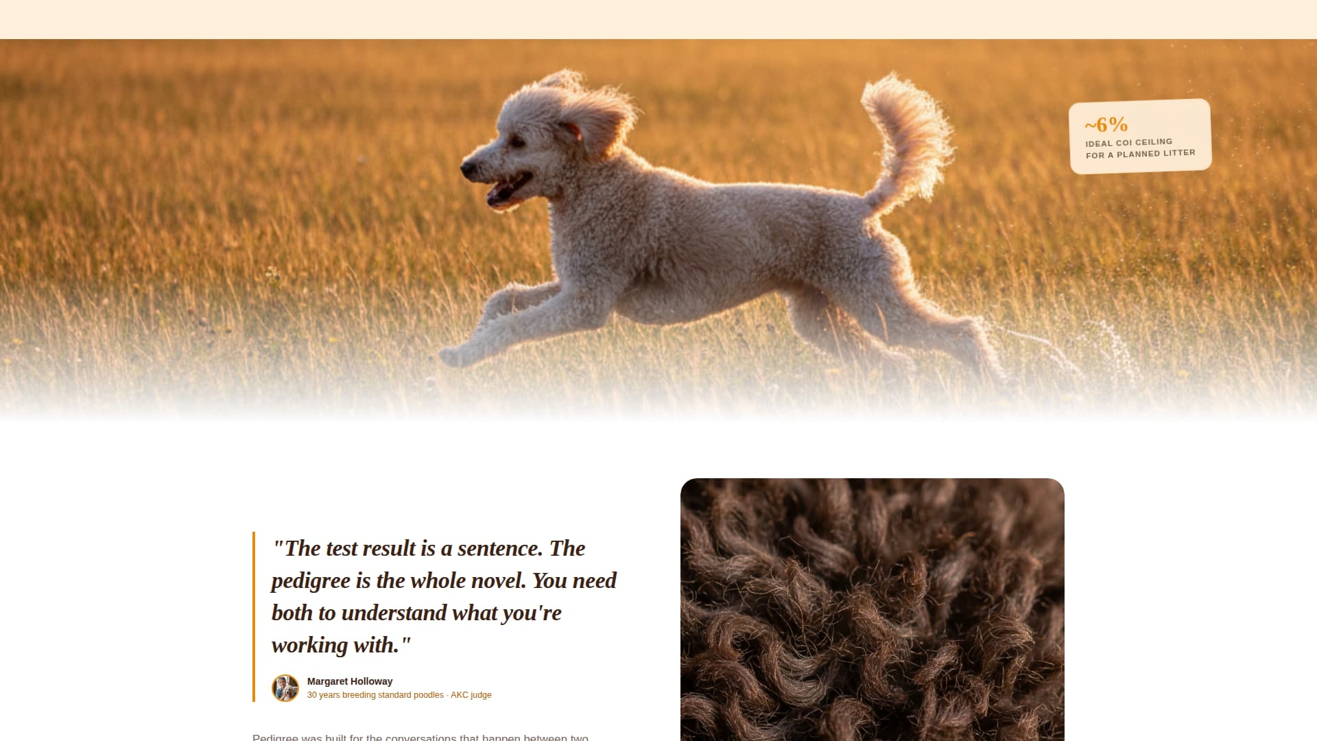 Dog Blog Website Template