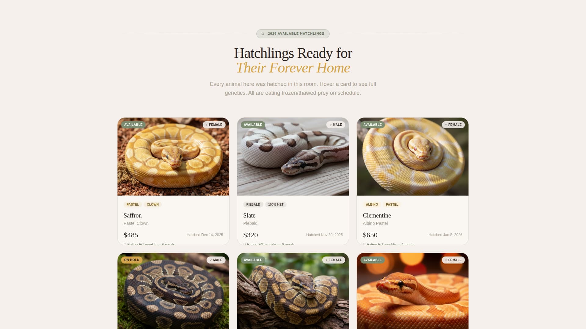 Clutch - Warm Reptilebreeder Landing Page Template