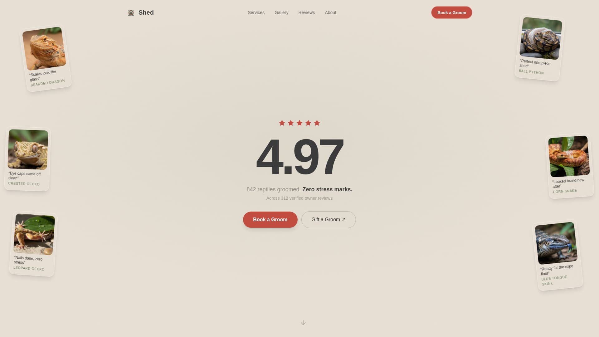Shed - Serene Reptile Landing Page Template