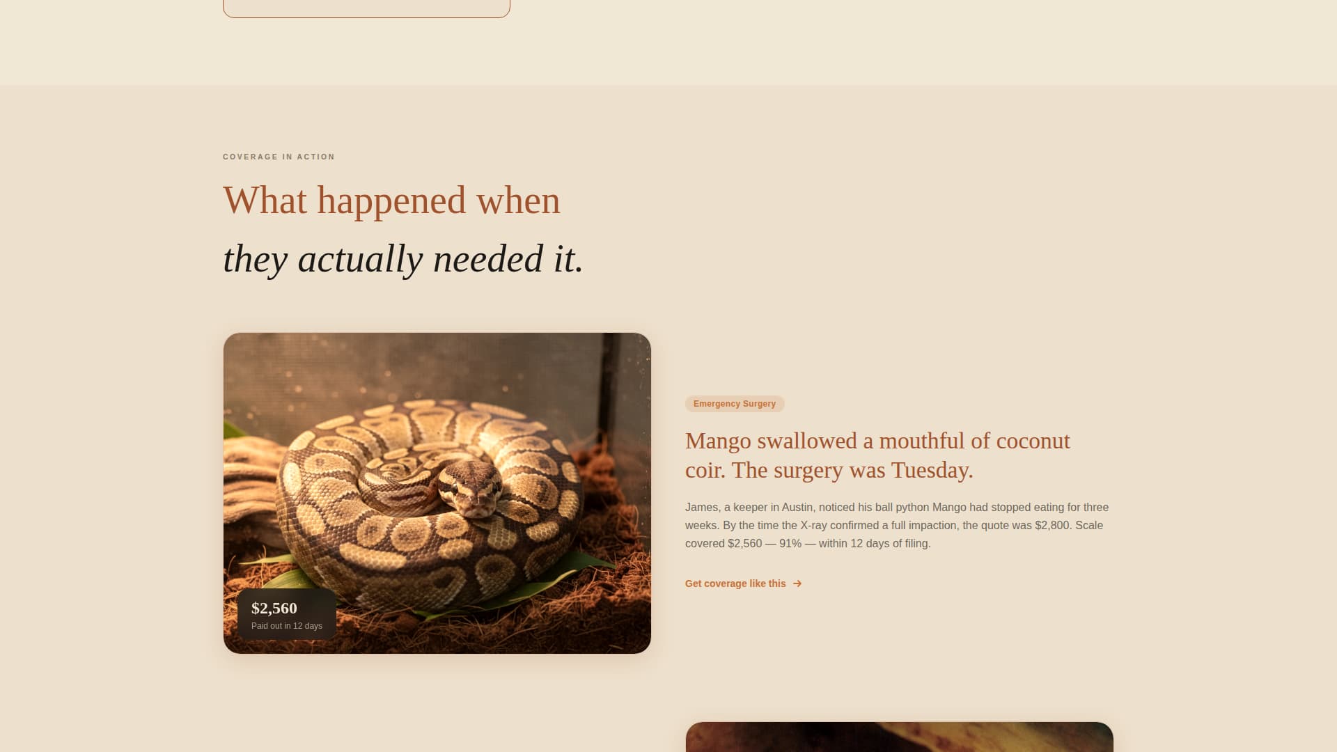 Scale - Trusted Reptileinsurance Landing Page Template
