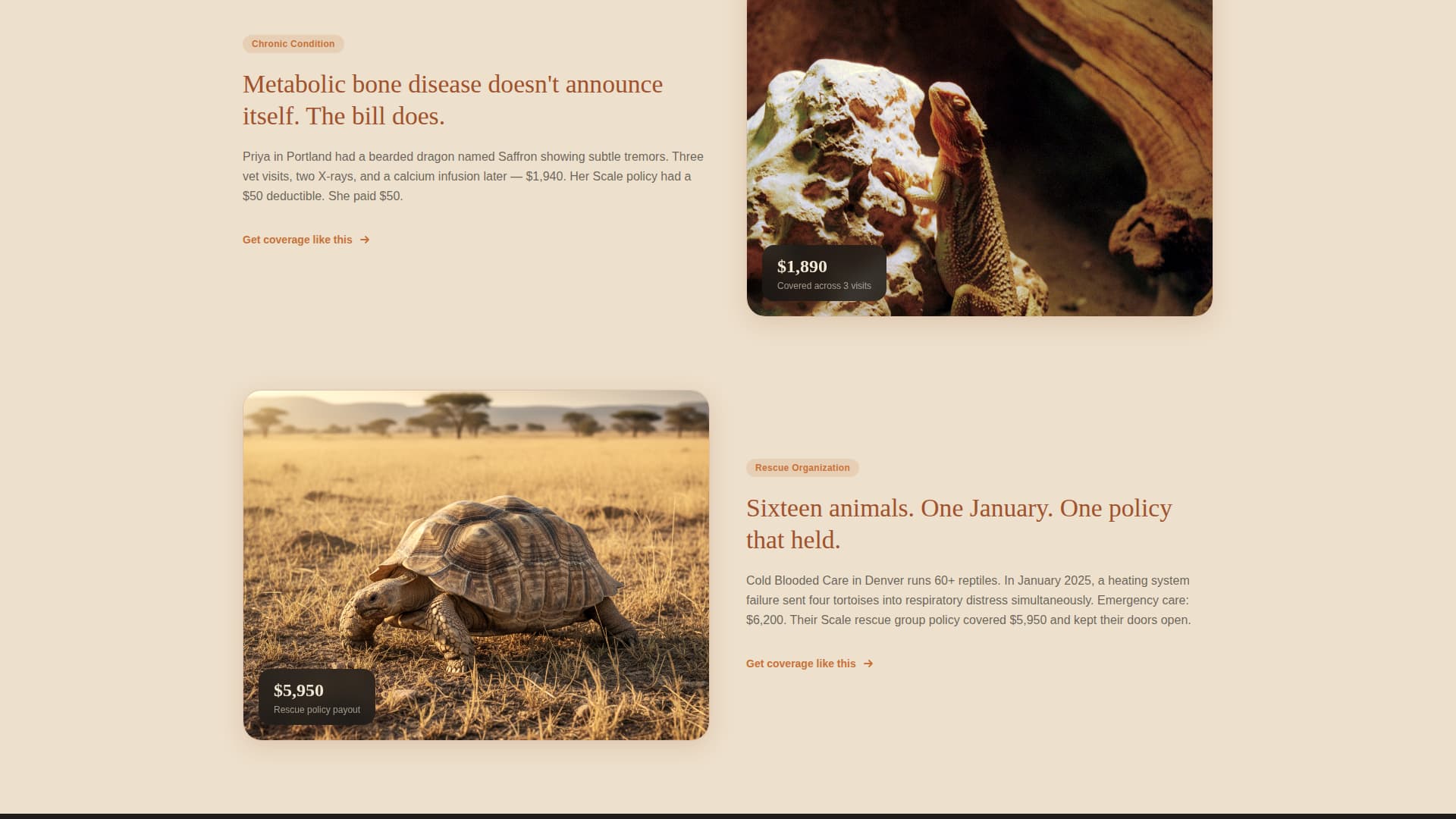 Scale - Trusted Reptileinsurance Landing Page Template