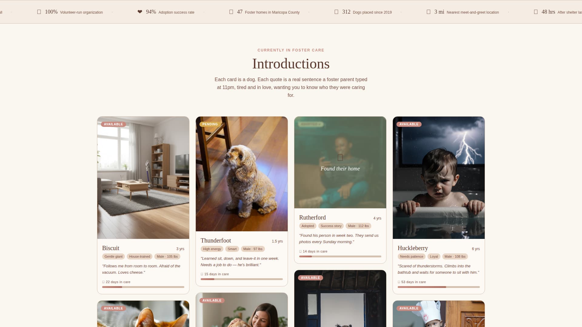 Rescuerottie - Heartfelt Adoption Landing Page Template