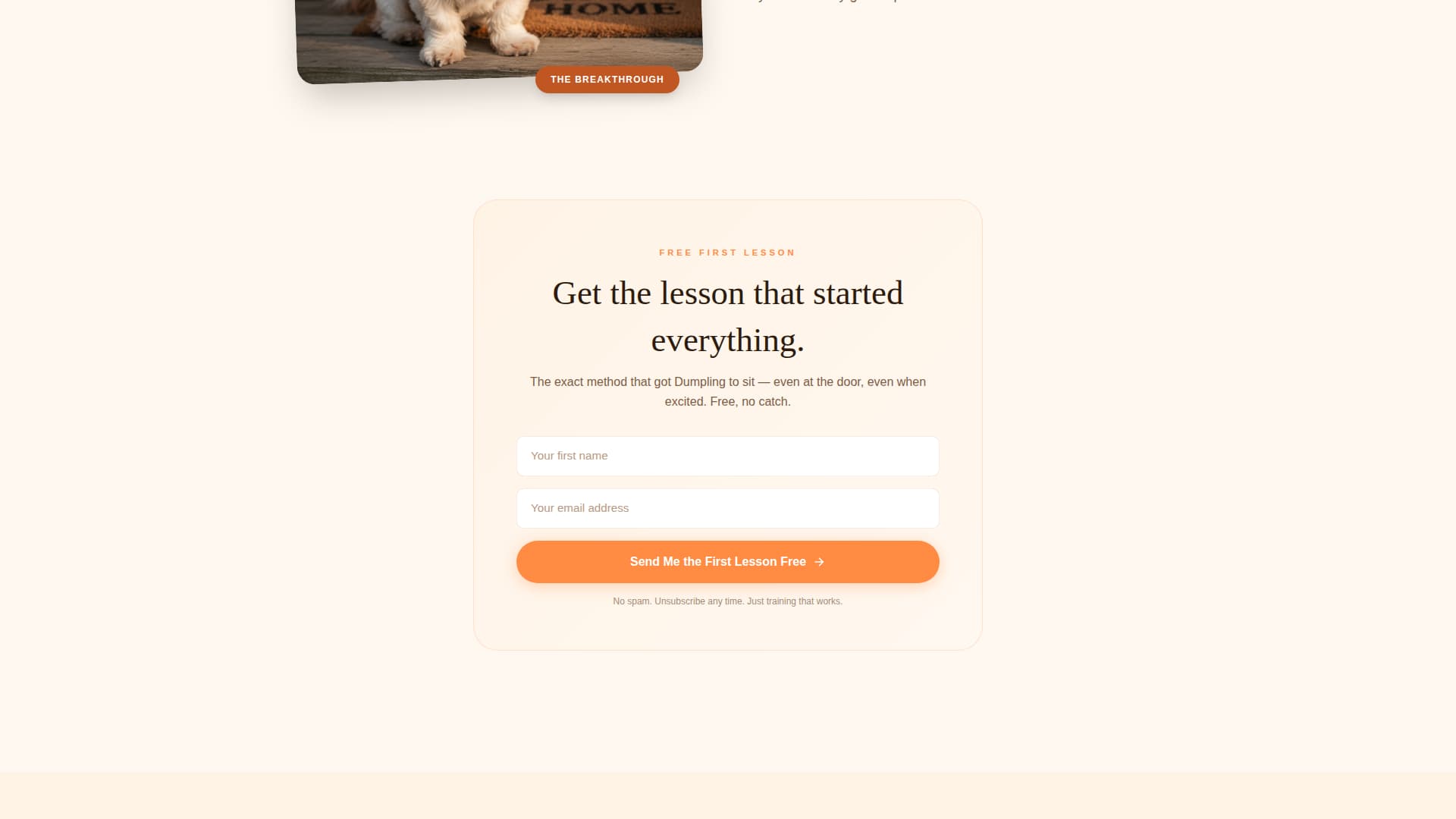 Dumpling - Gentle Pettraining Landing Page Template