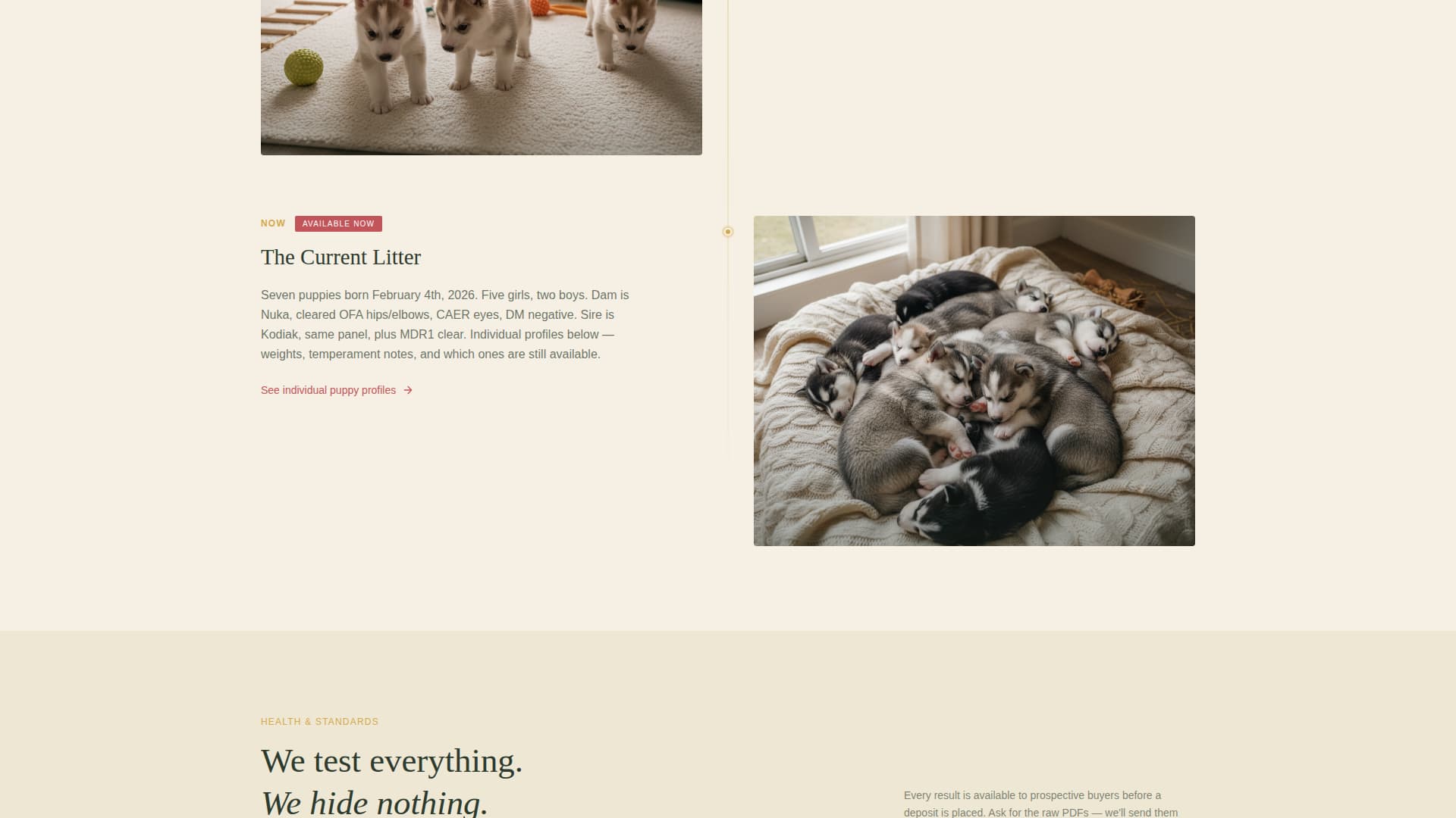 Pack - Artisan Husky Landing Page Template