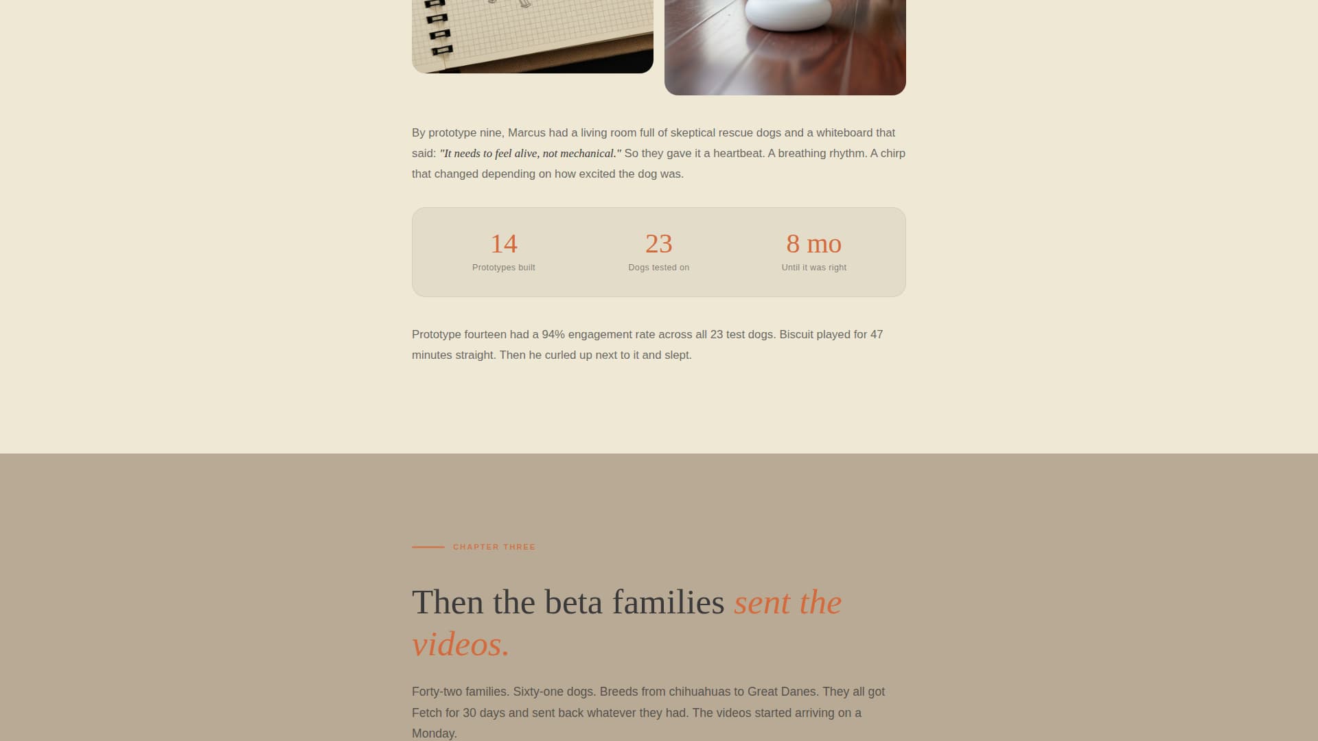 Fetch - Heartwarming Pettech Landing Page Template
