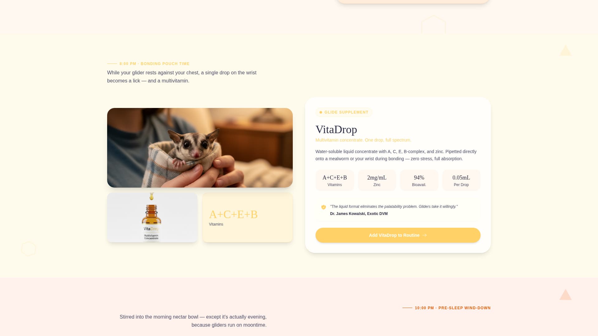 Glide - Vibrant Sugarglider Landing Page Template