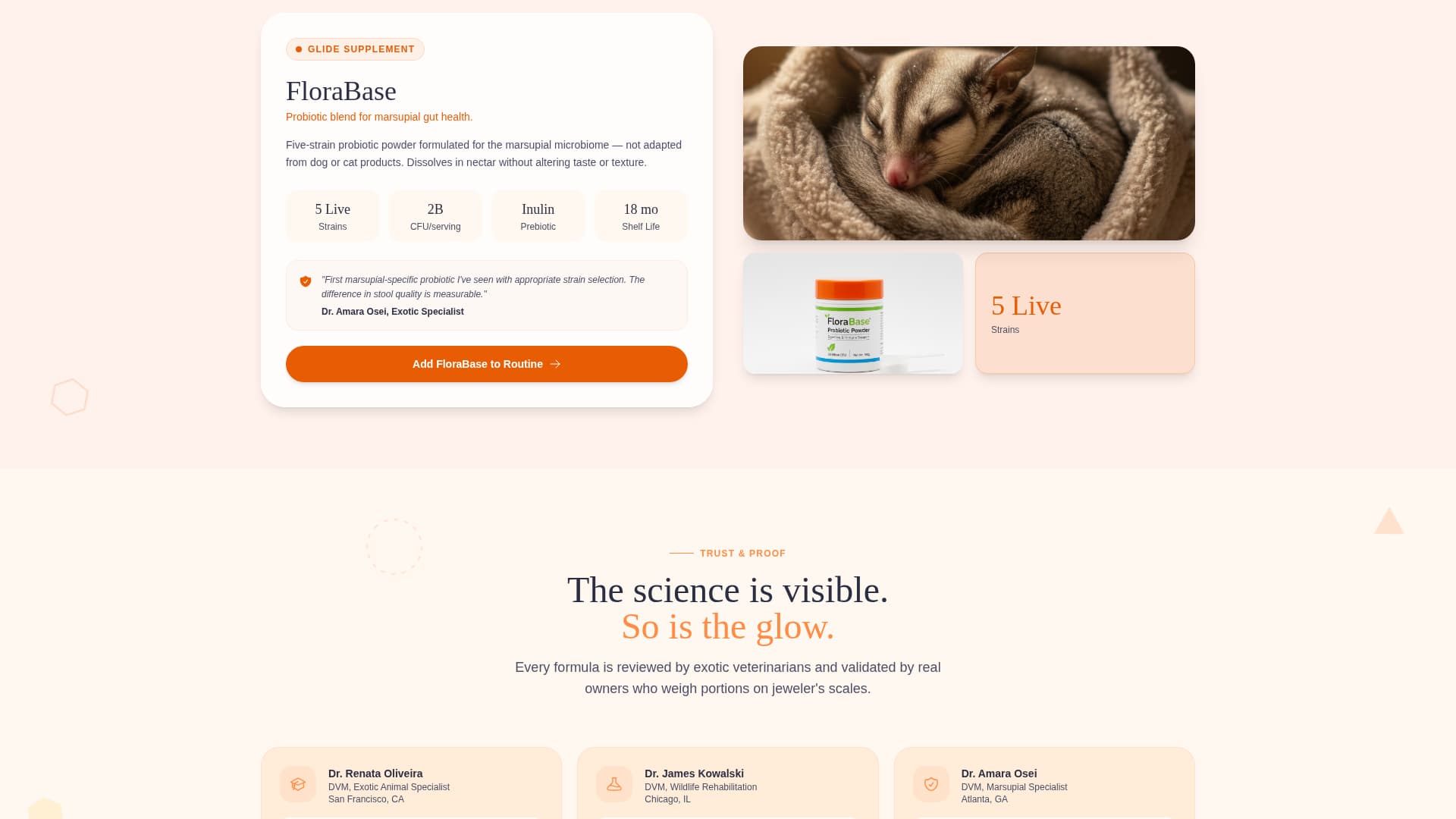 Glide - Vibrant Sugarglider Landing Page Template