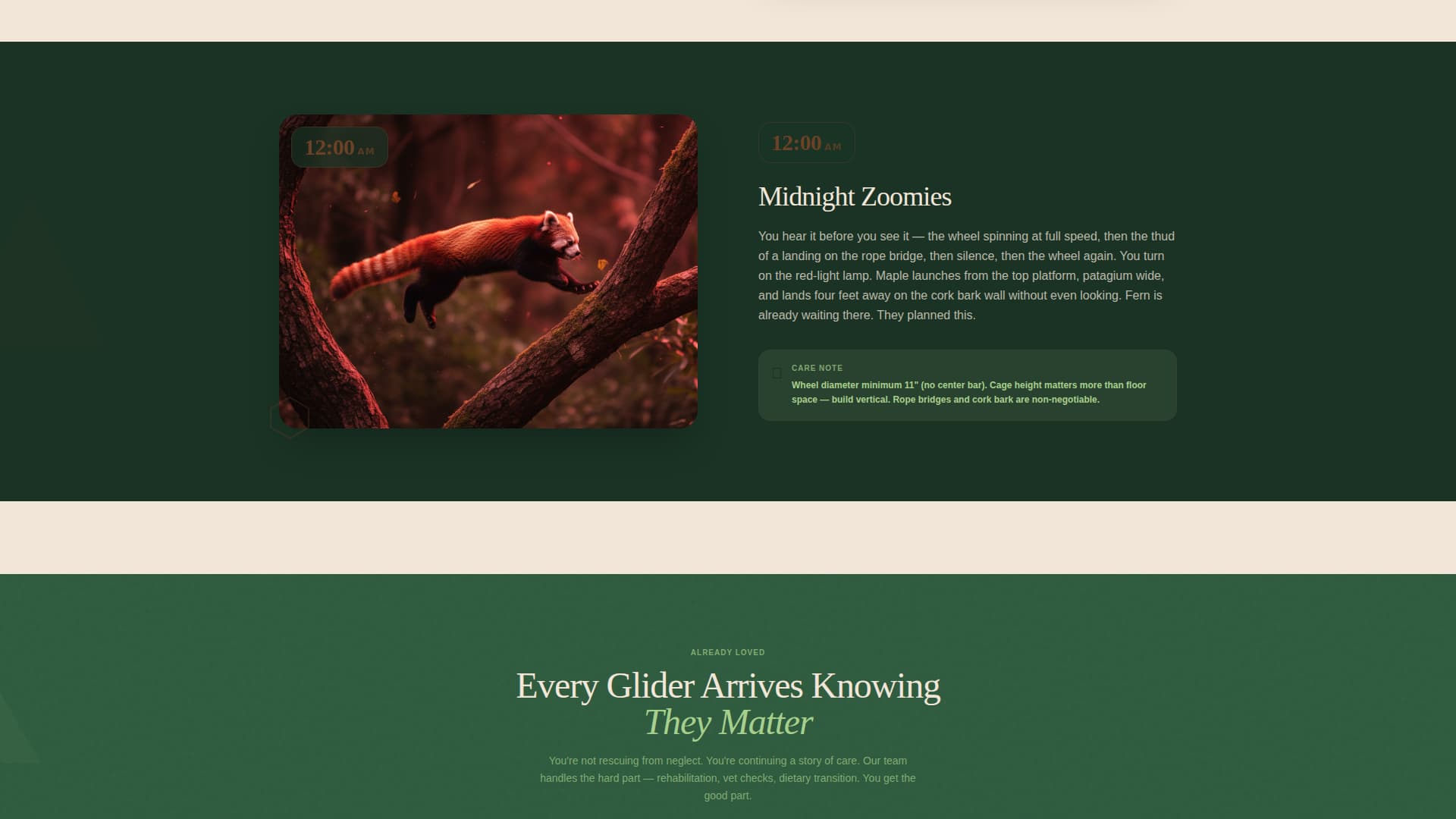 Glide - Heartwarming Rescue Landing Page Template