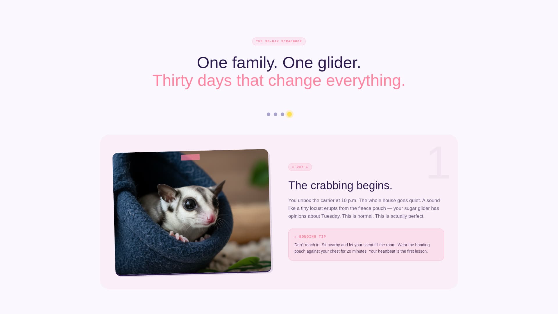Glide - Joyful Sugarglider Landing Page Template