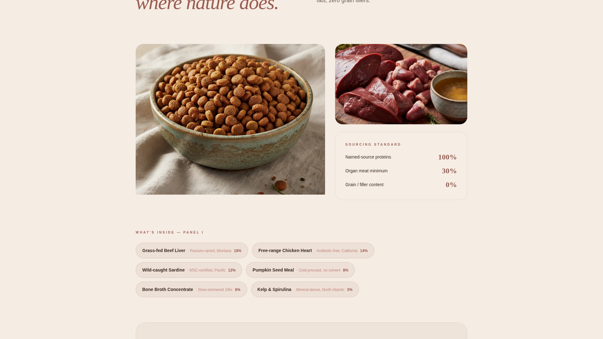 Kibble - Nourishing Veterinary Landing Page Template